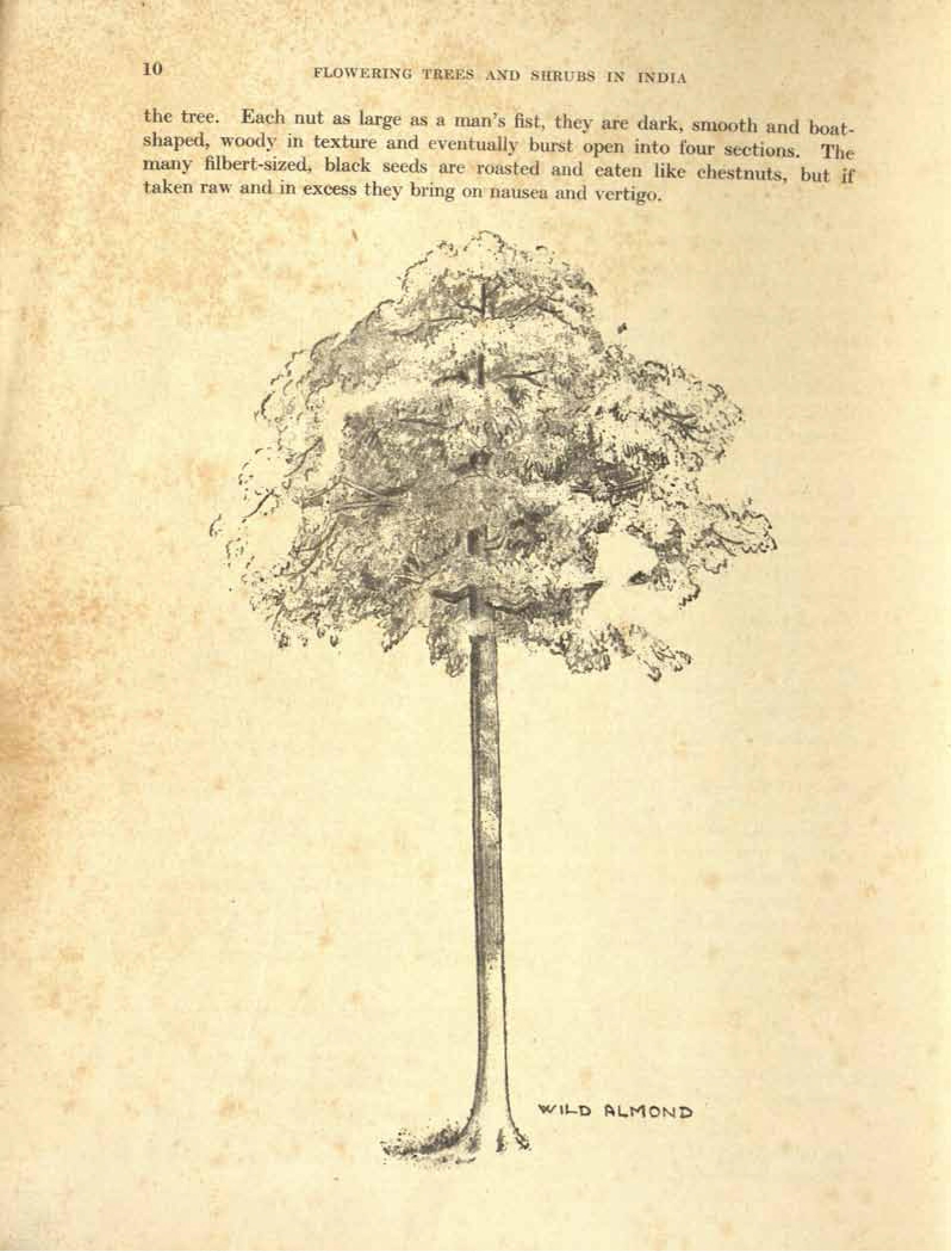 no full size  illustration available (3a)