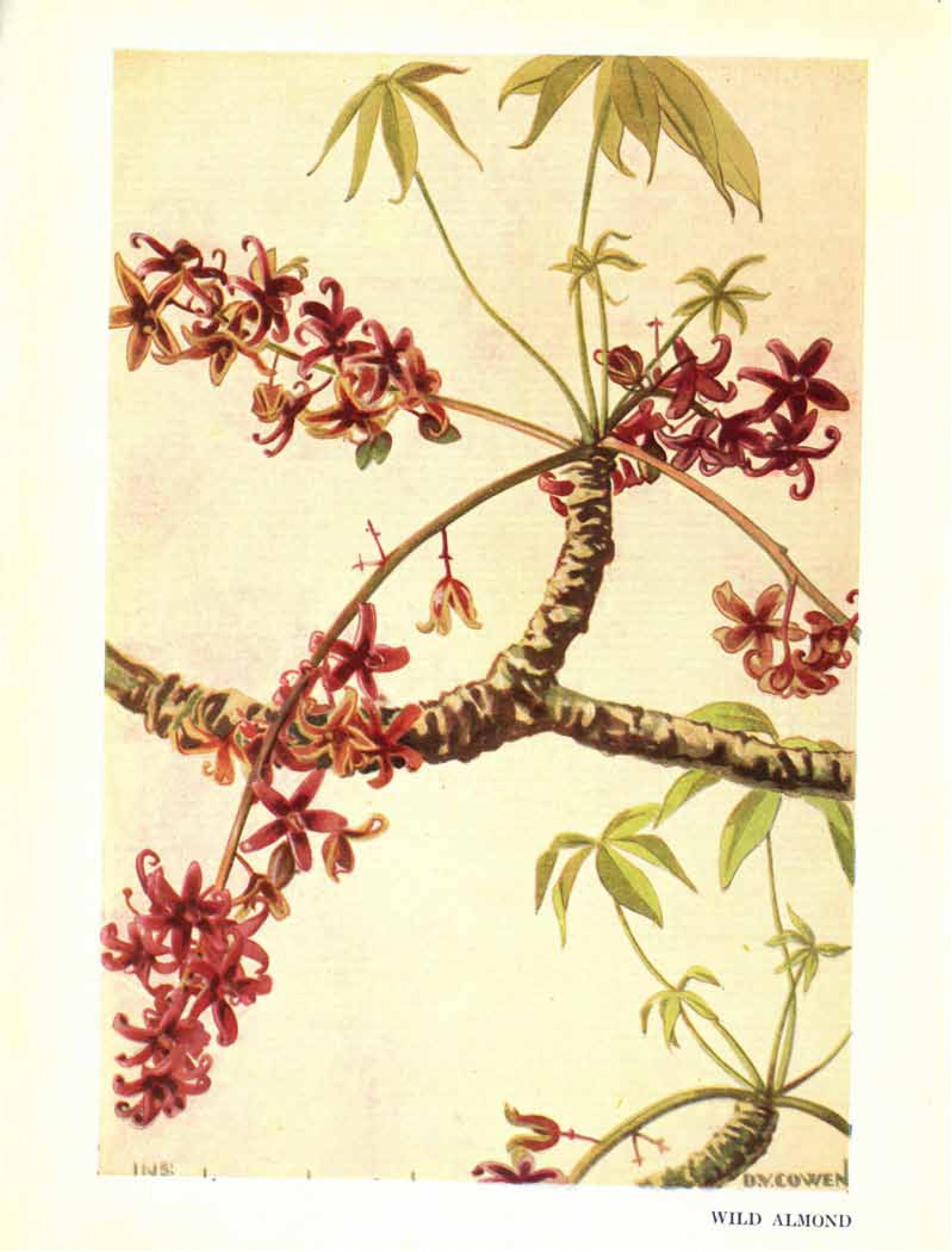 no full size  illustration available (3a)