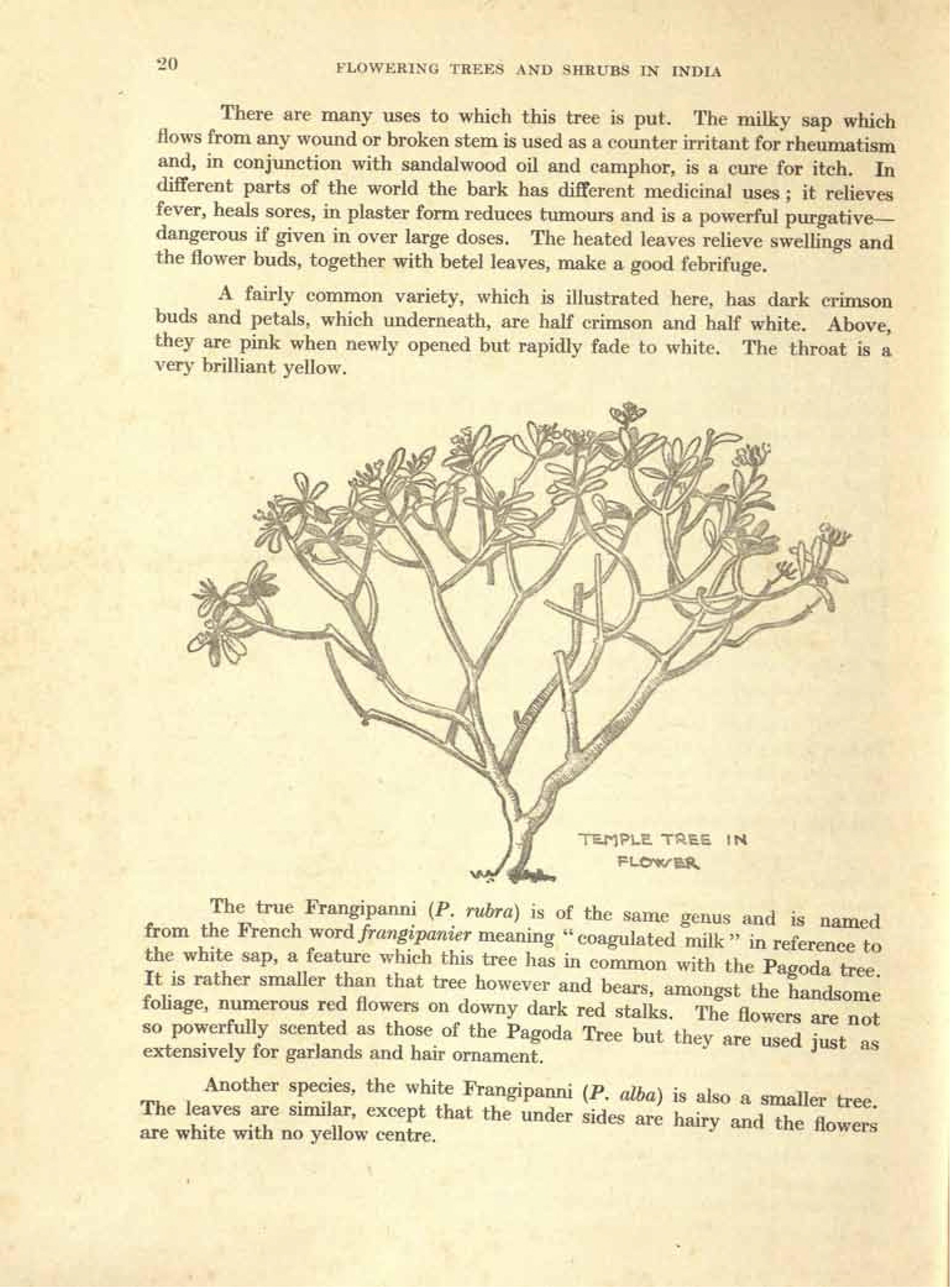 no full size  illustration available (3a)