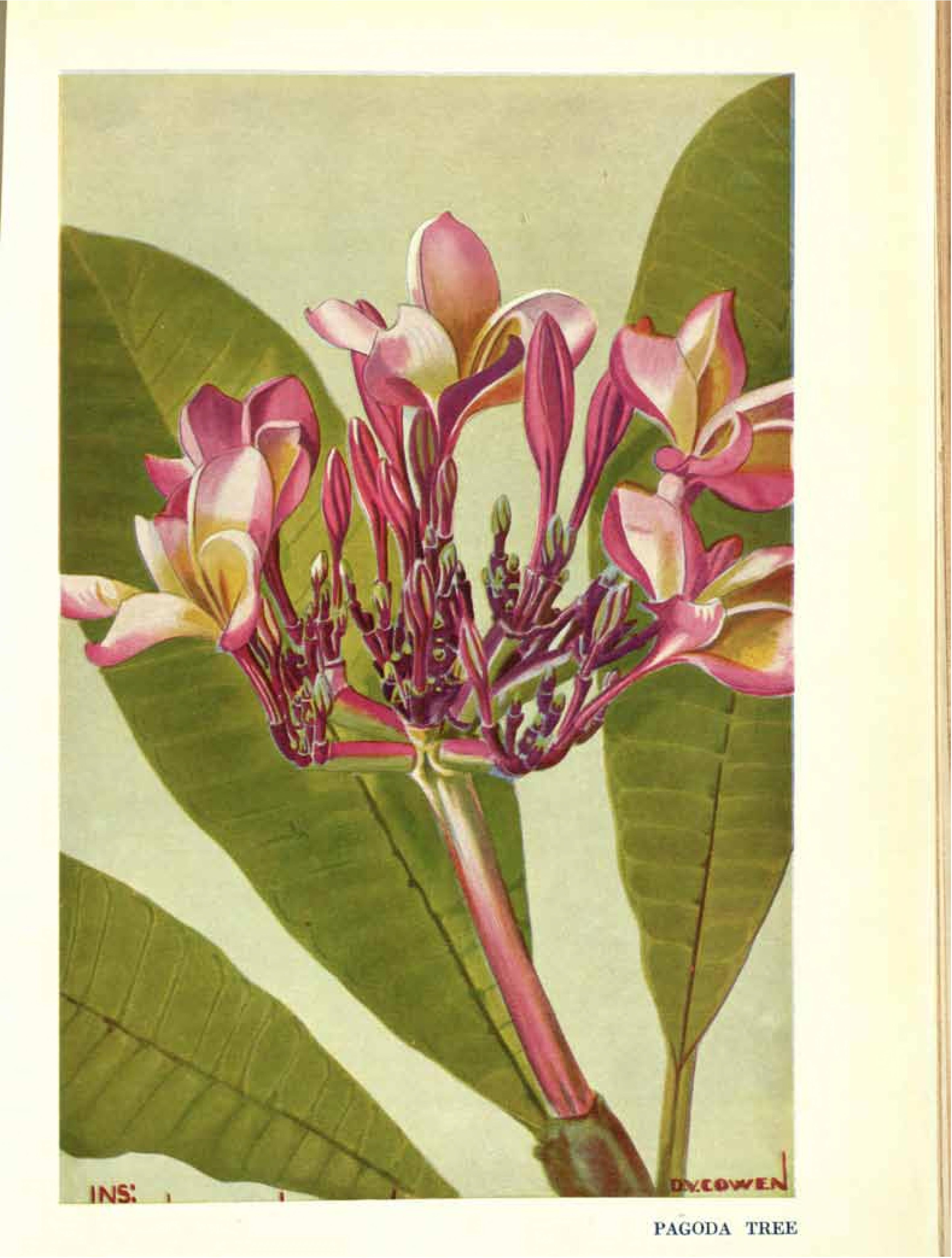 no full size  illustration available (3a)