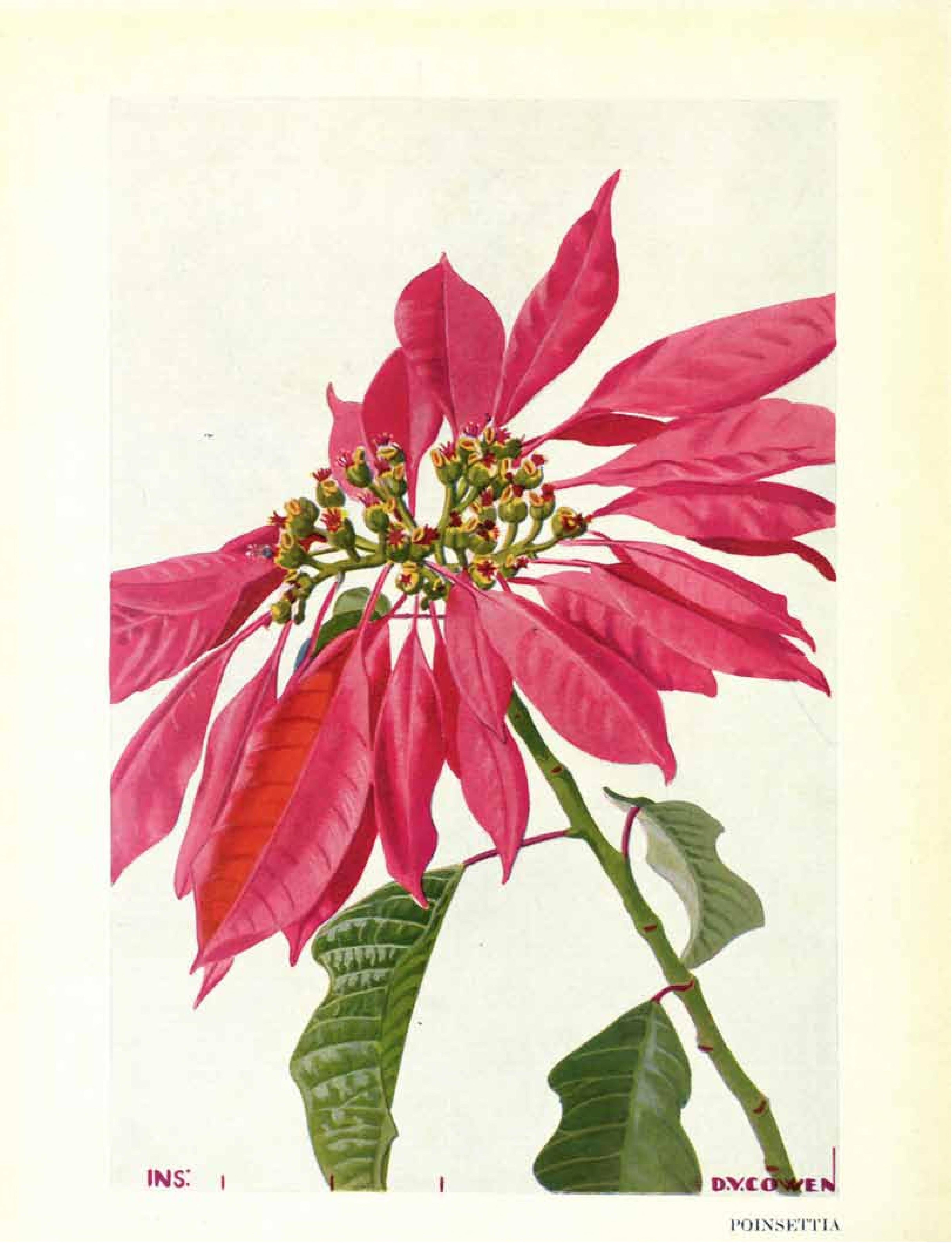 no full size  illustration available (3a)