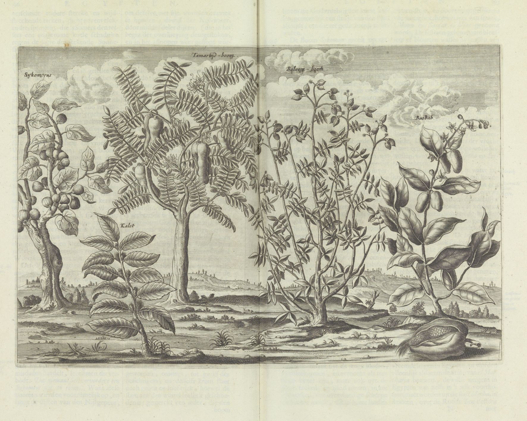 no full size  illustration available (3a)