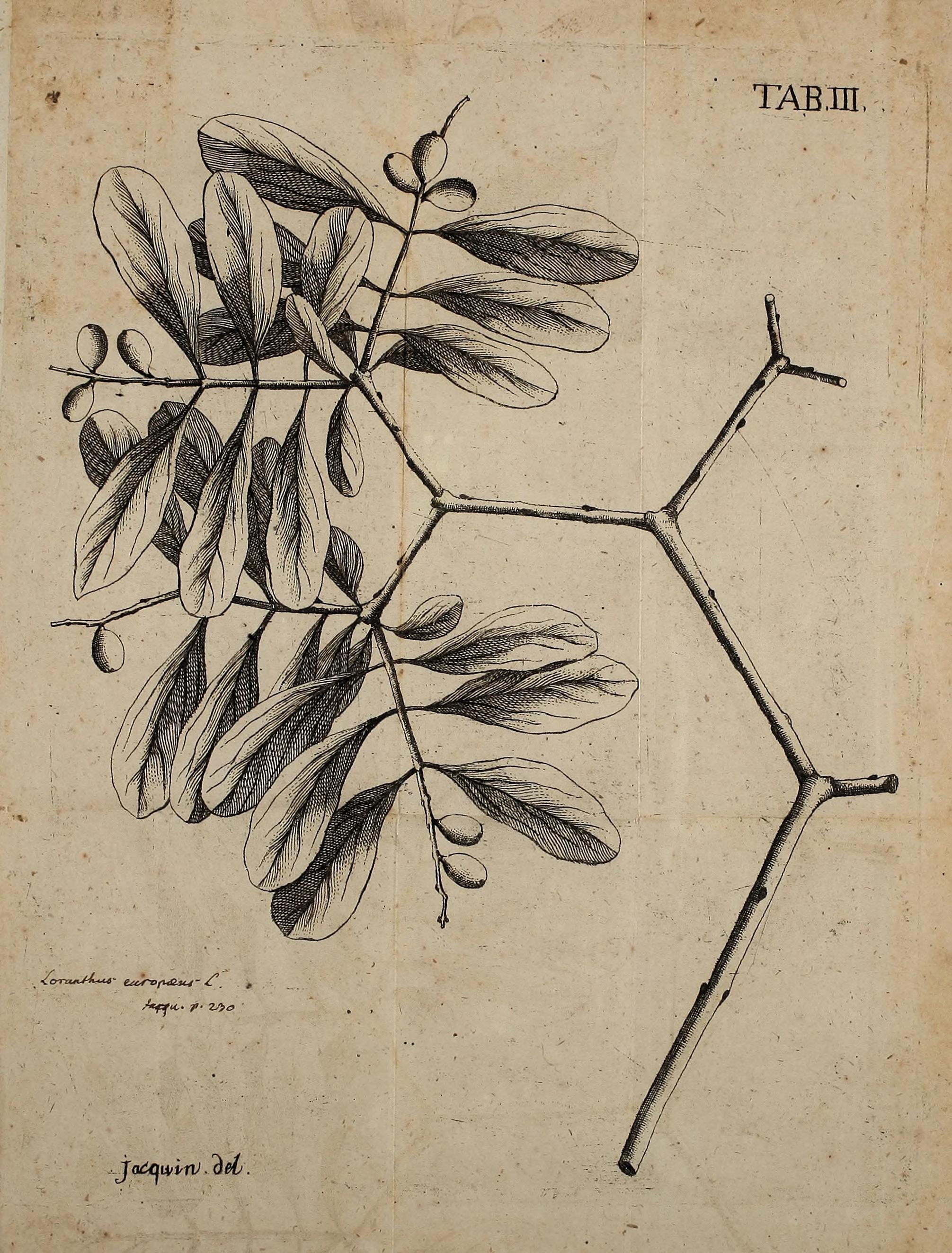 no full size  illustration available (3a)