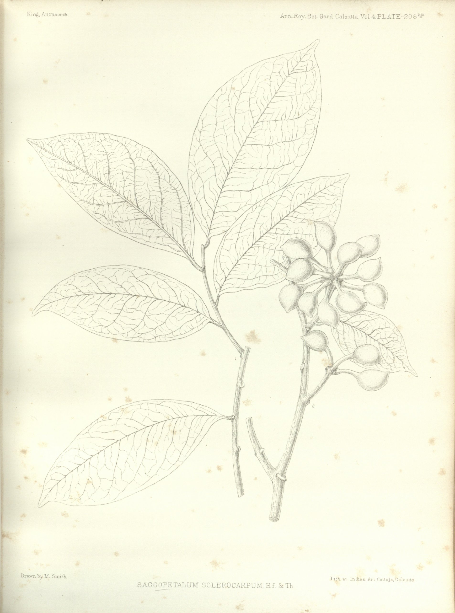 no full size  illustration available (3a)