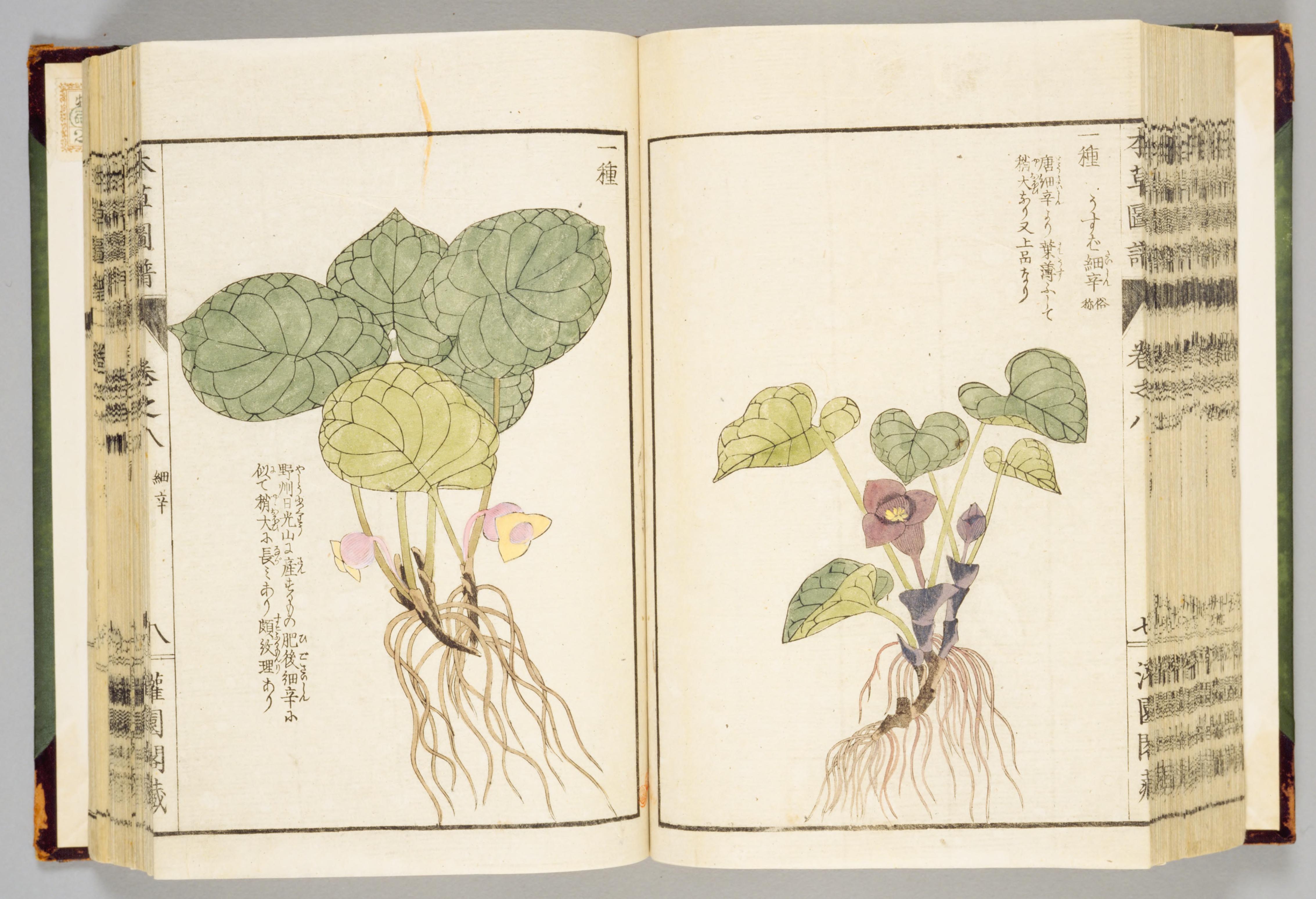 no full size  illustration available (3a)