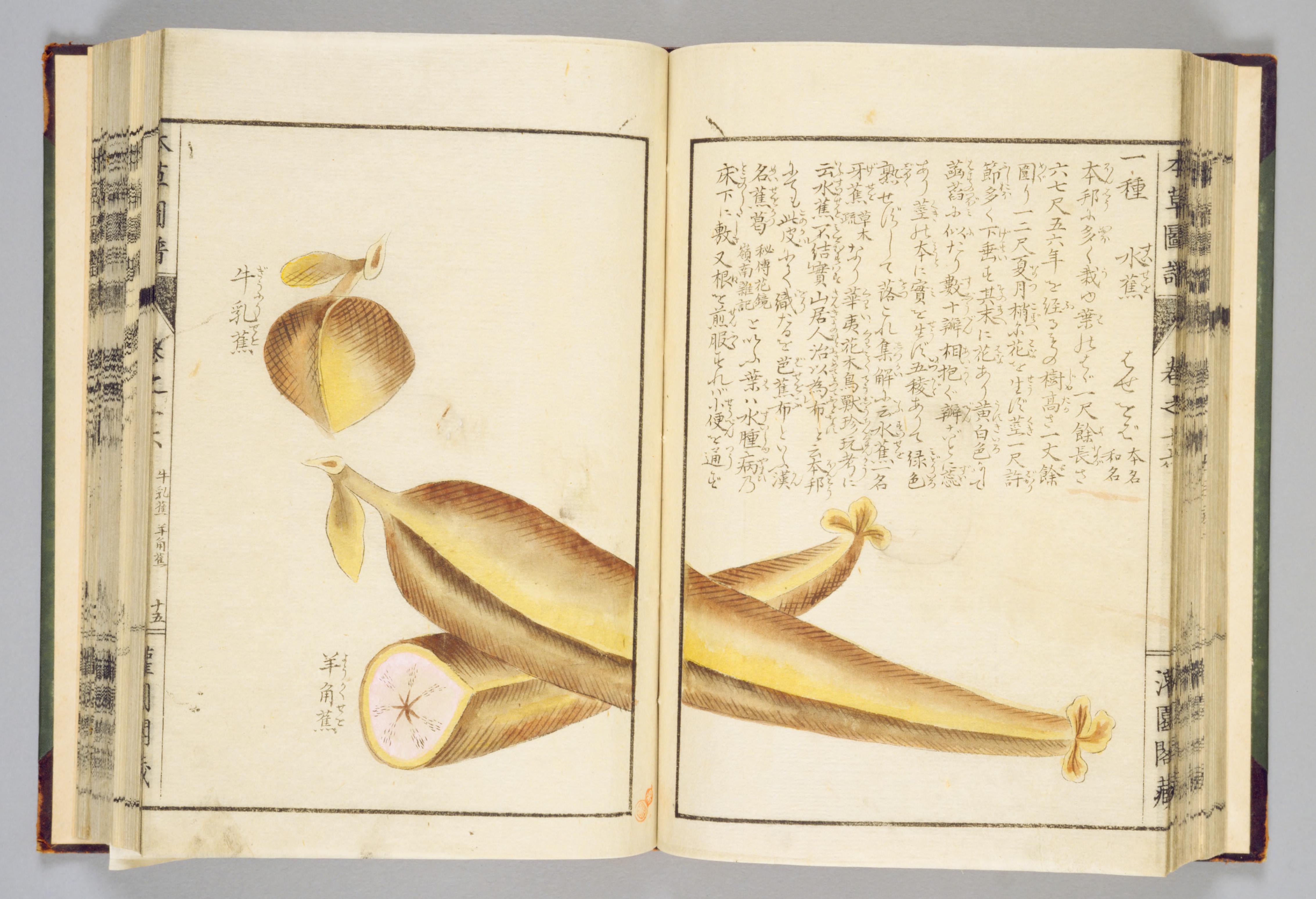 no full size  illustration available (3a)