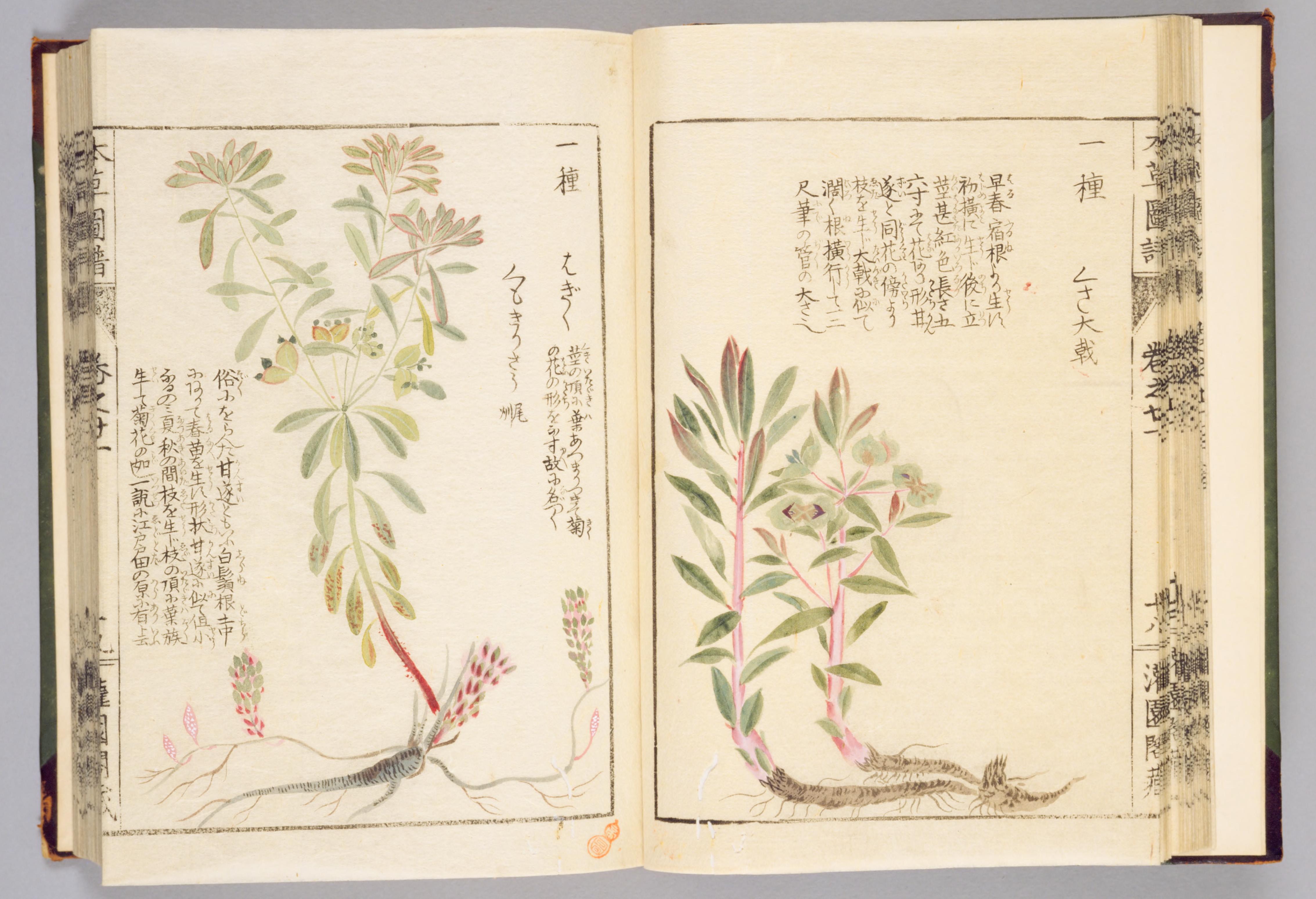 no full size  illustration available (3a)