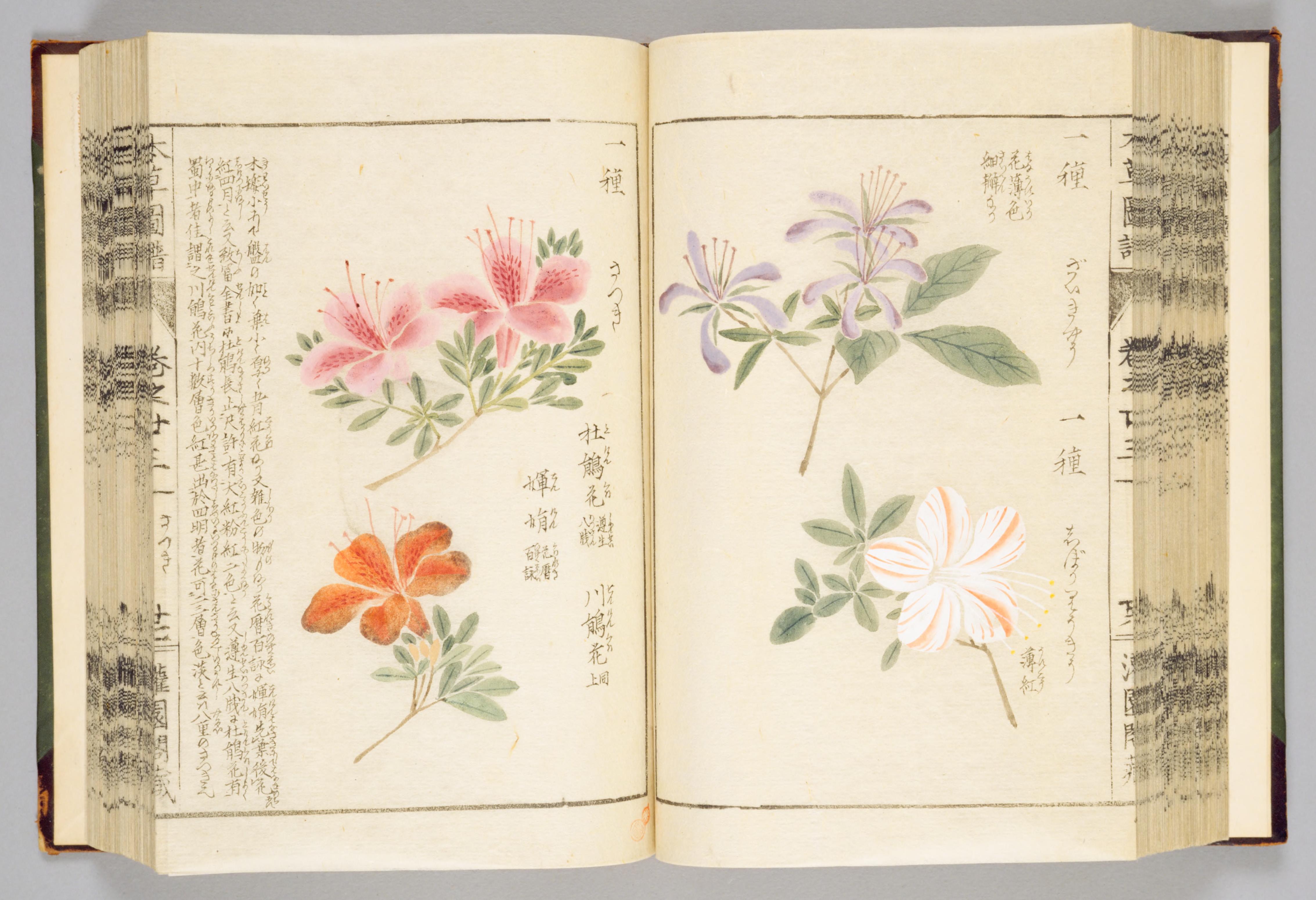 no full size  illustration available (3a)