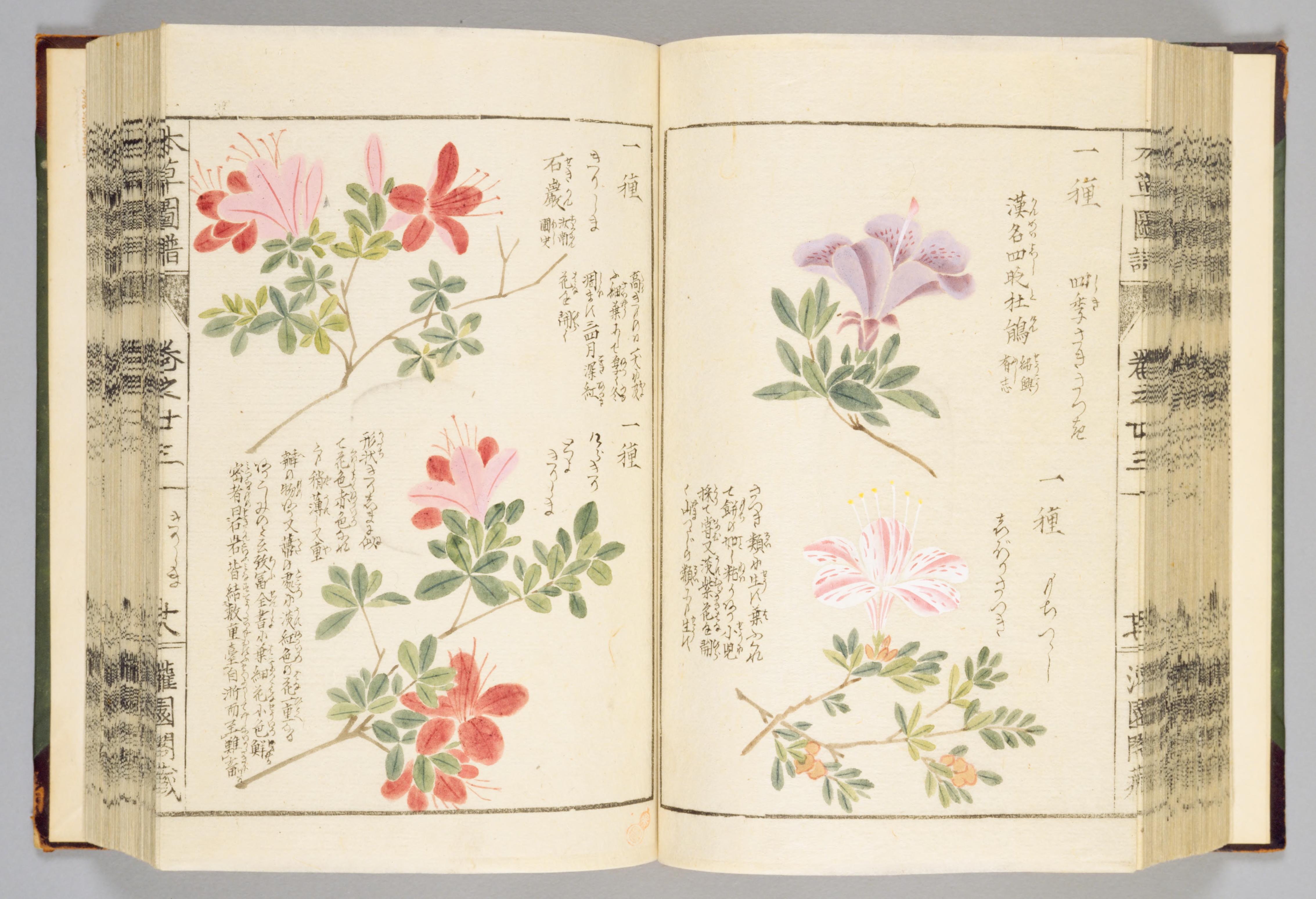 no full size  illustration available (3a)