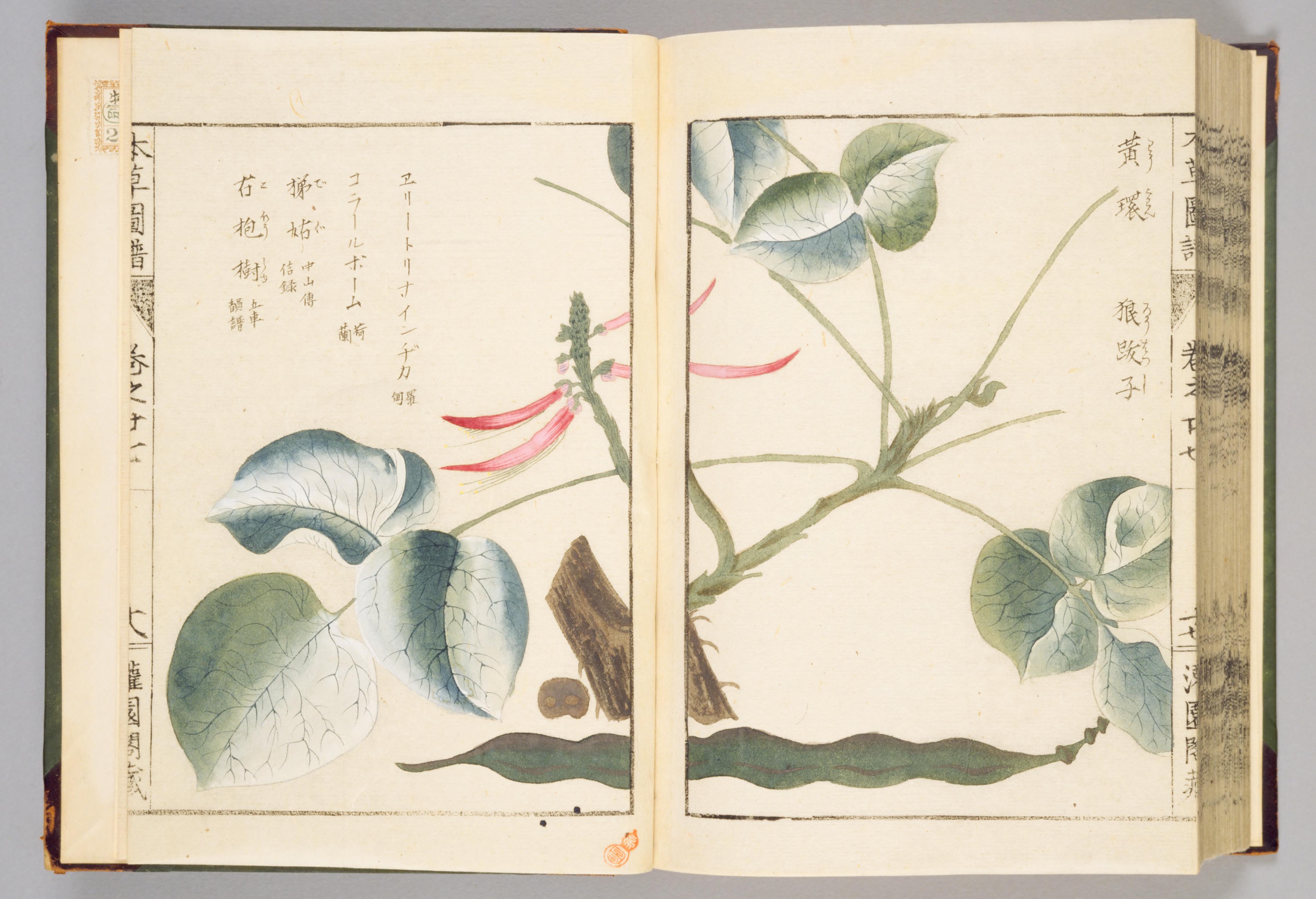 no full size  illustration available (3a)