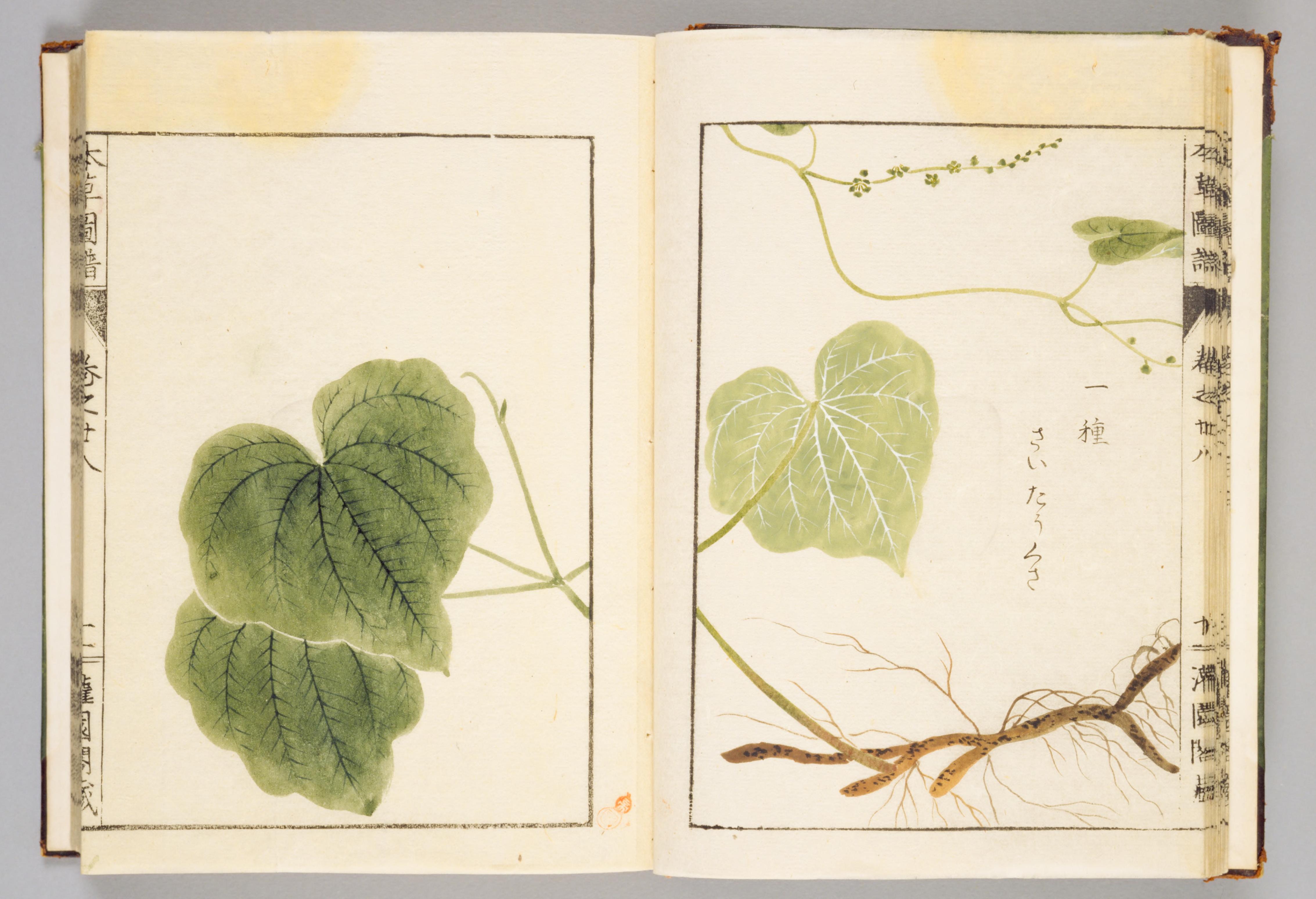 no full size  illustration available (3a)