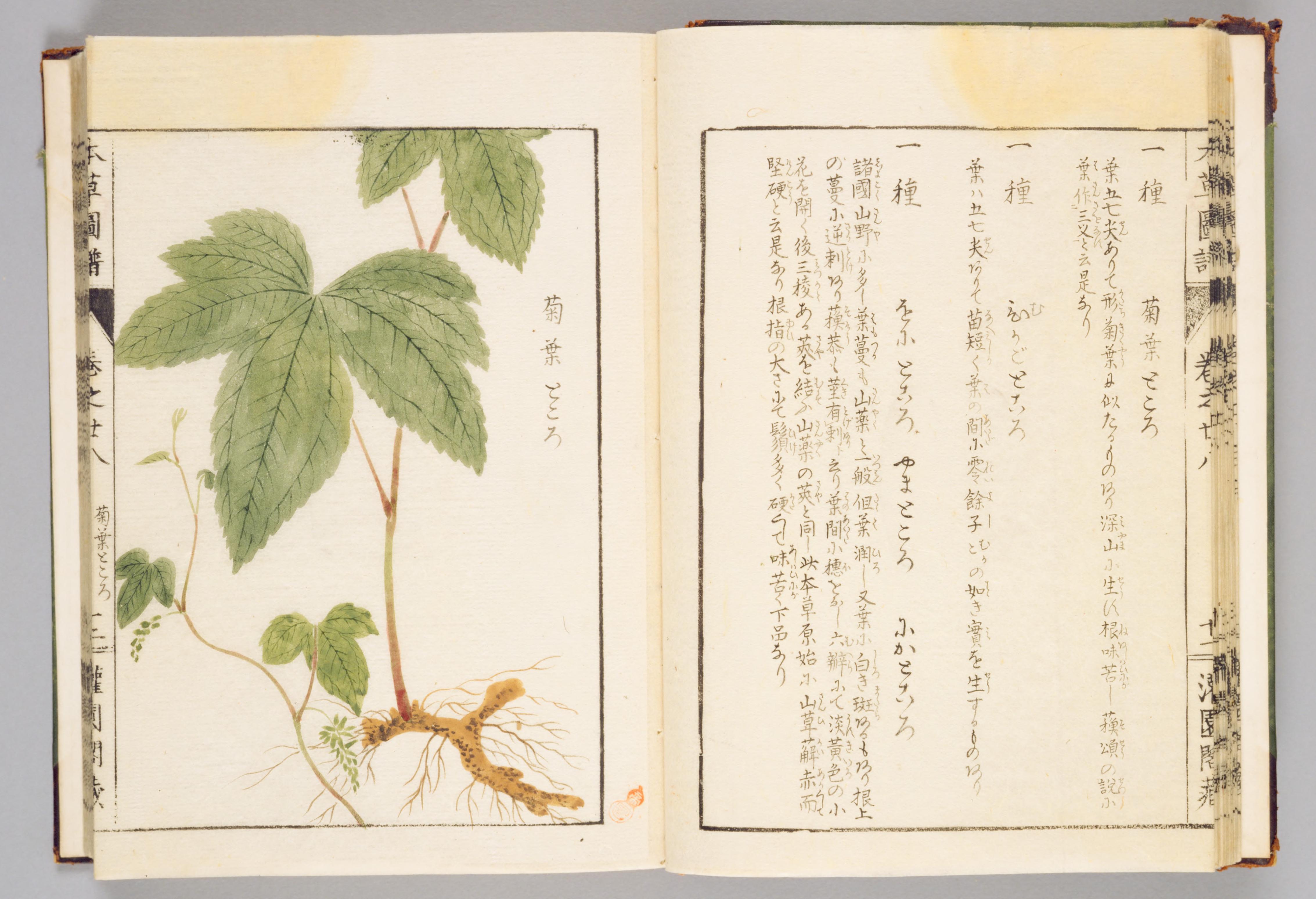 no full size  illustration available (3a)