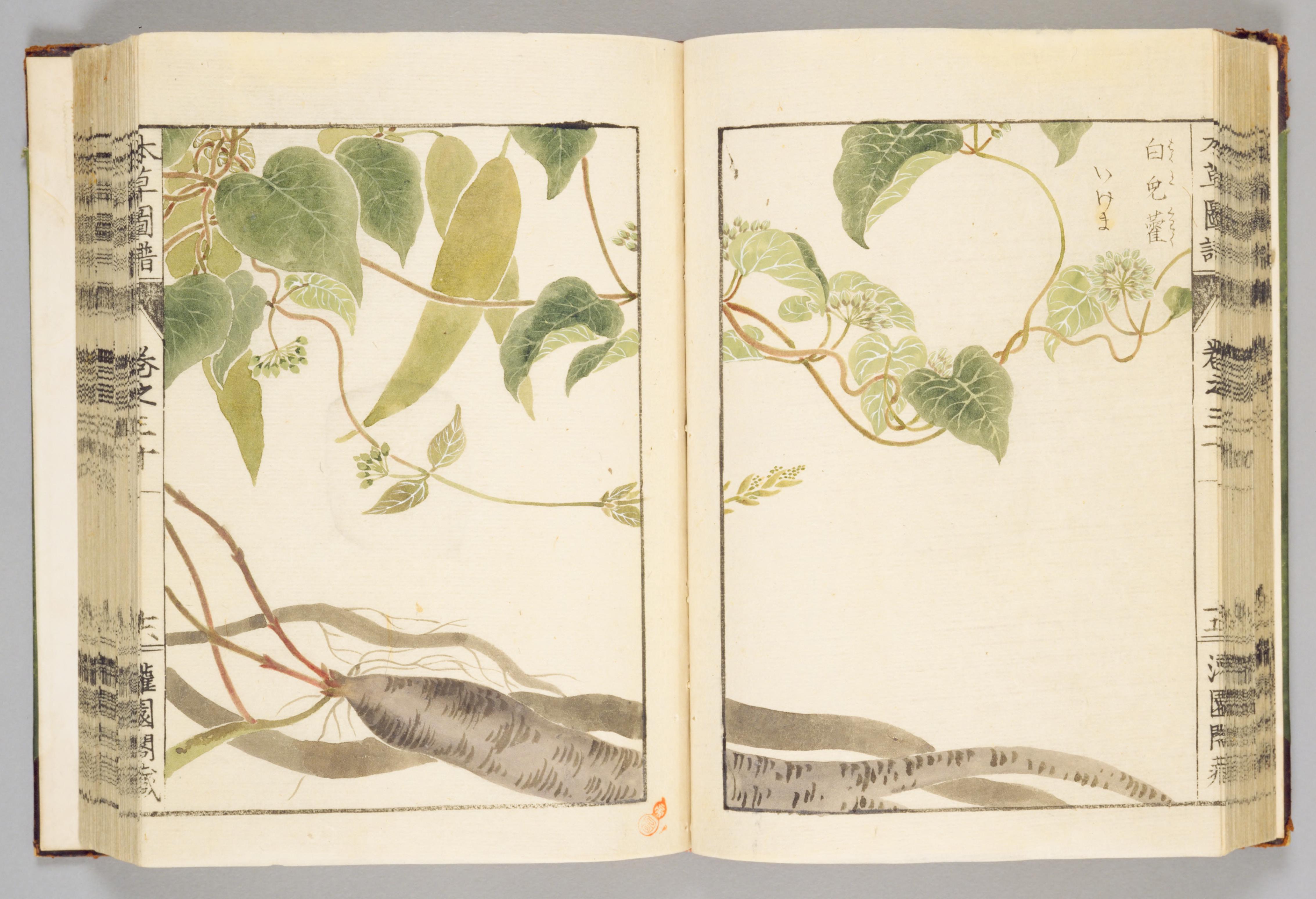 no full size  illustration available (3a)