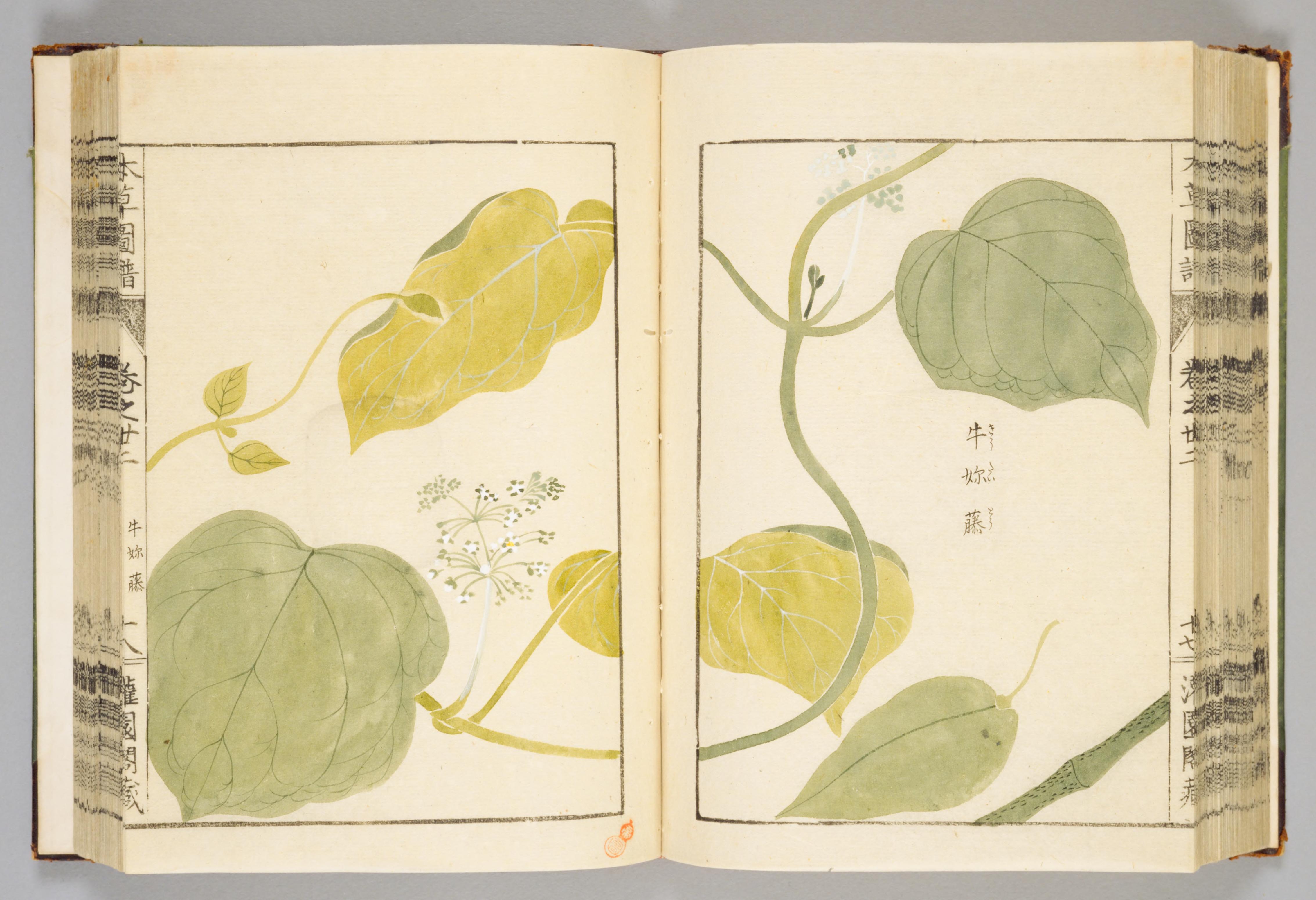 no full size  illustration available (3a)