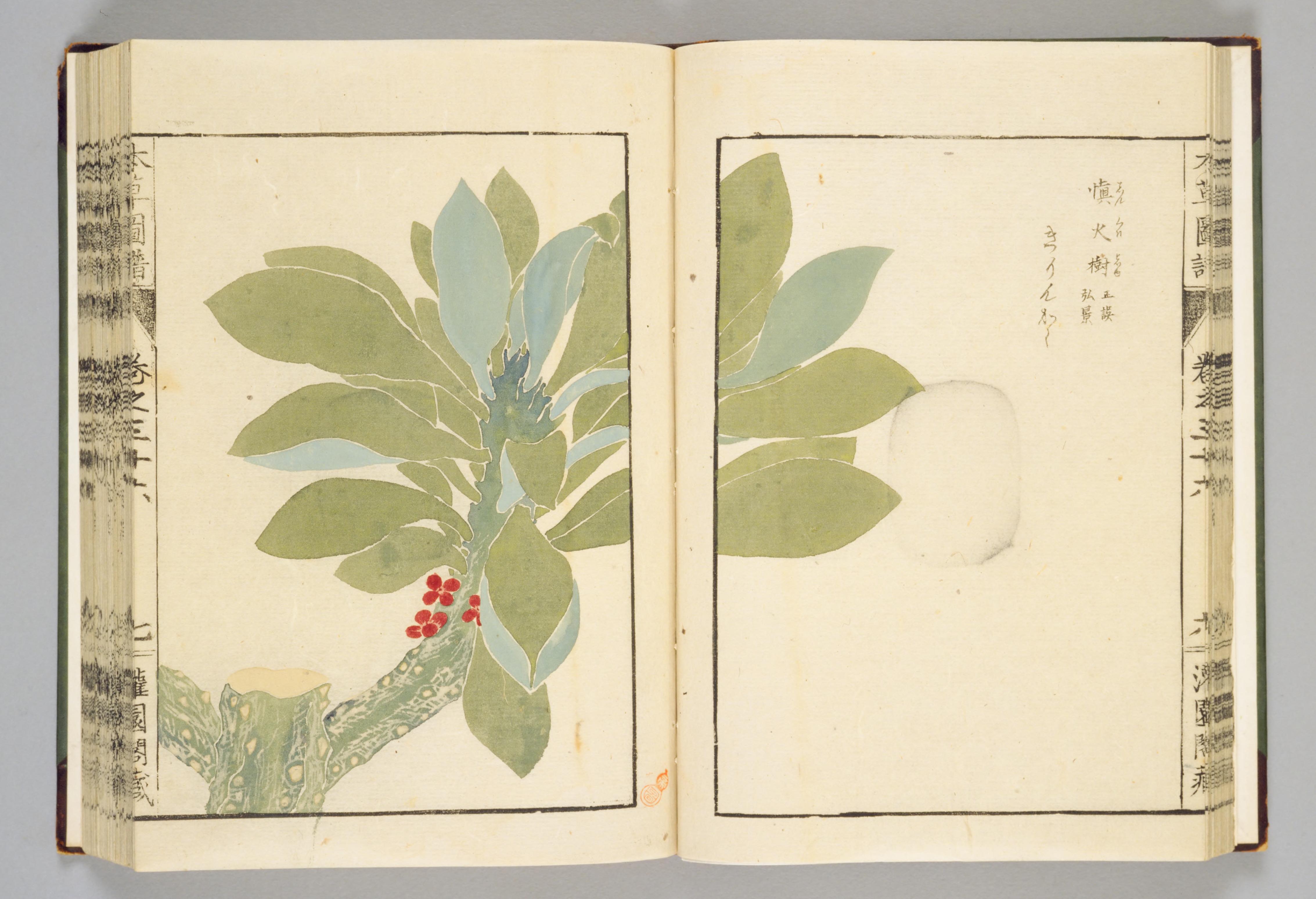 no full size  illustration available (3a)