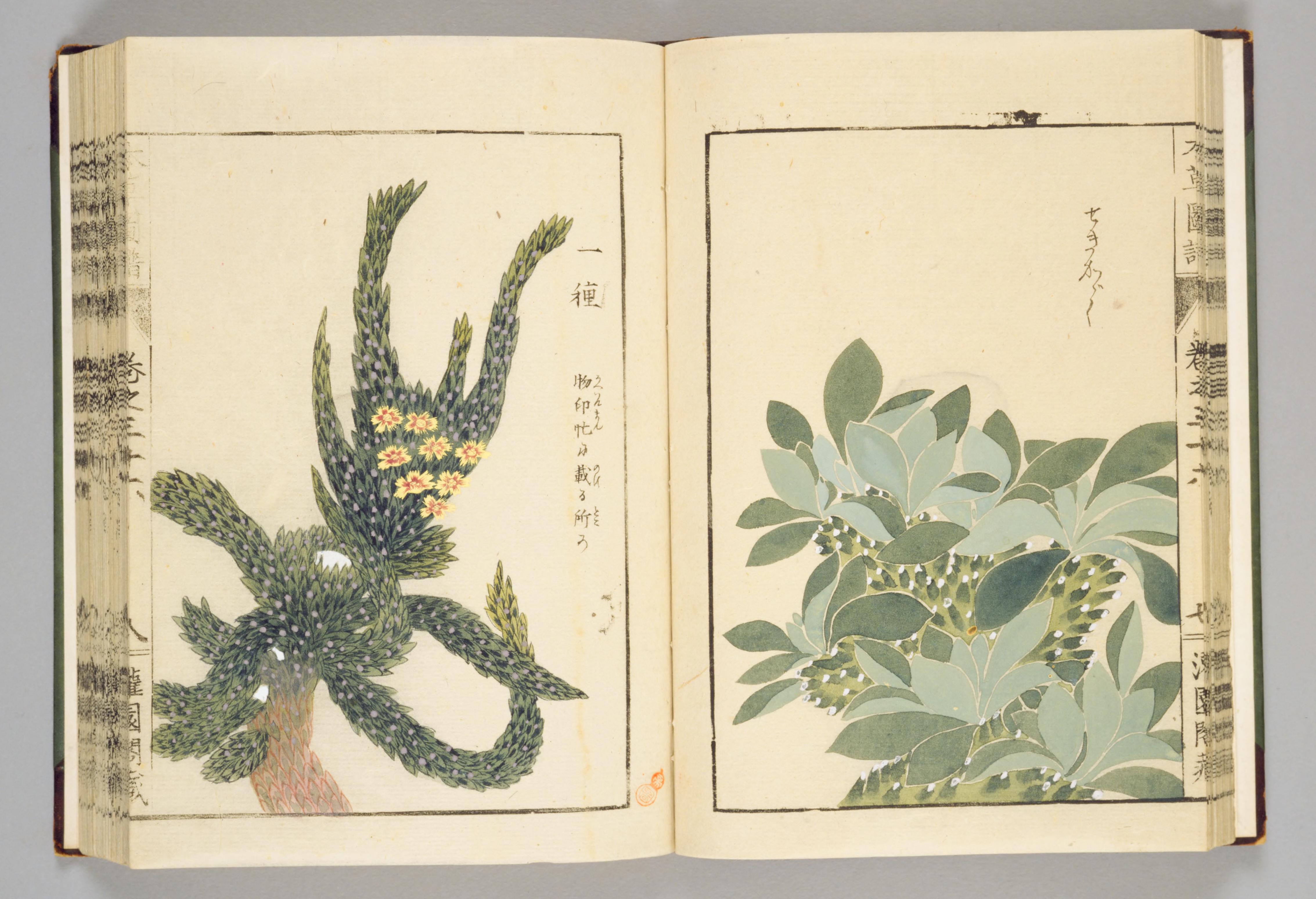 no full size  illustration available (3a)