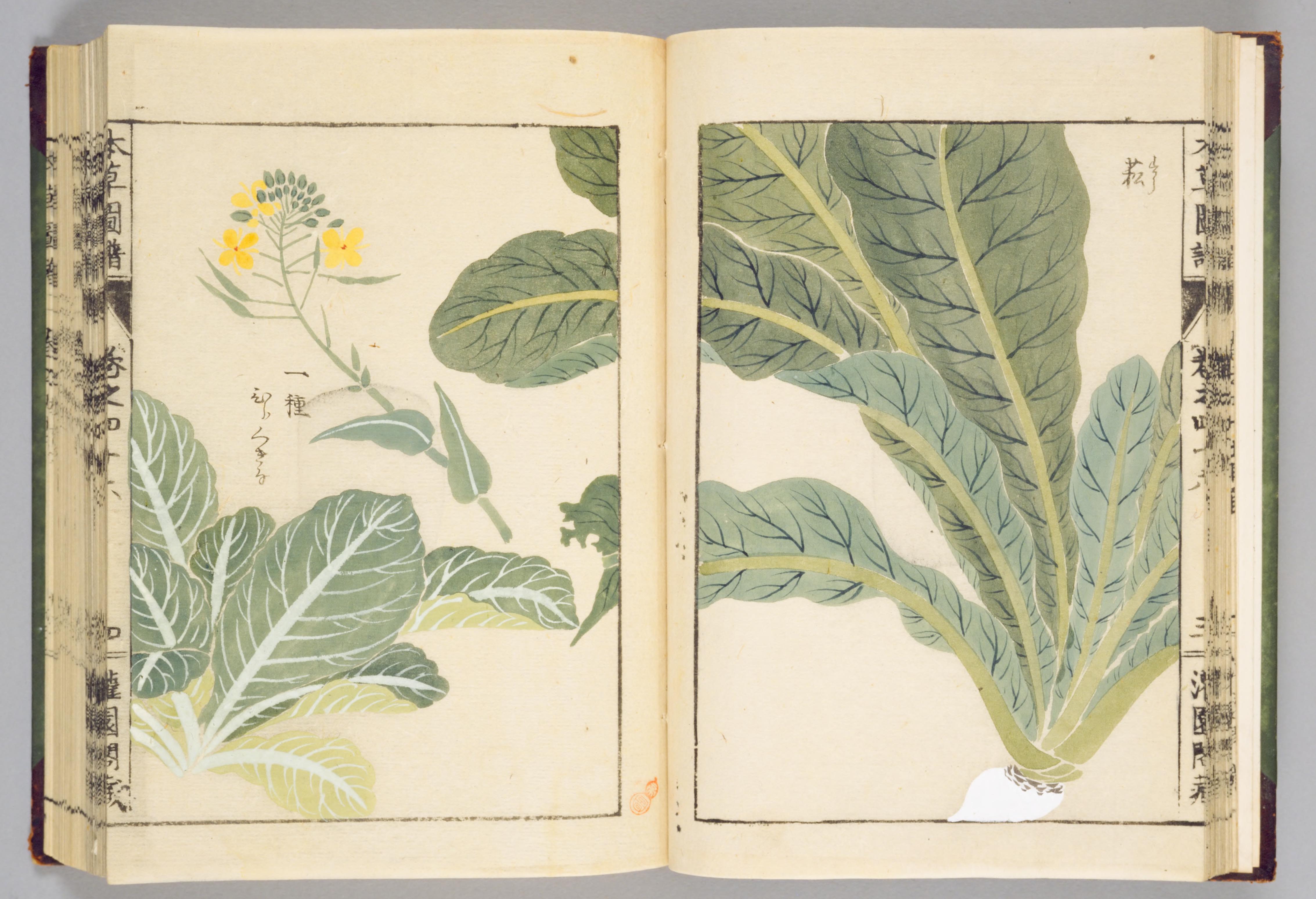 no full size  illustration available (3a)