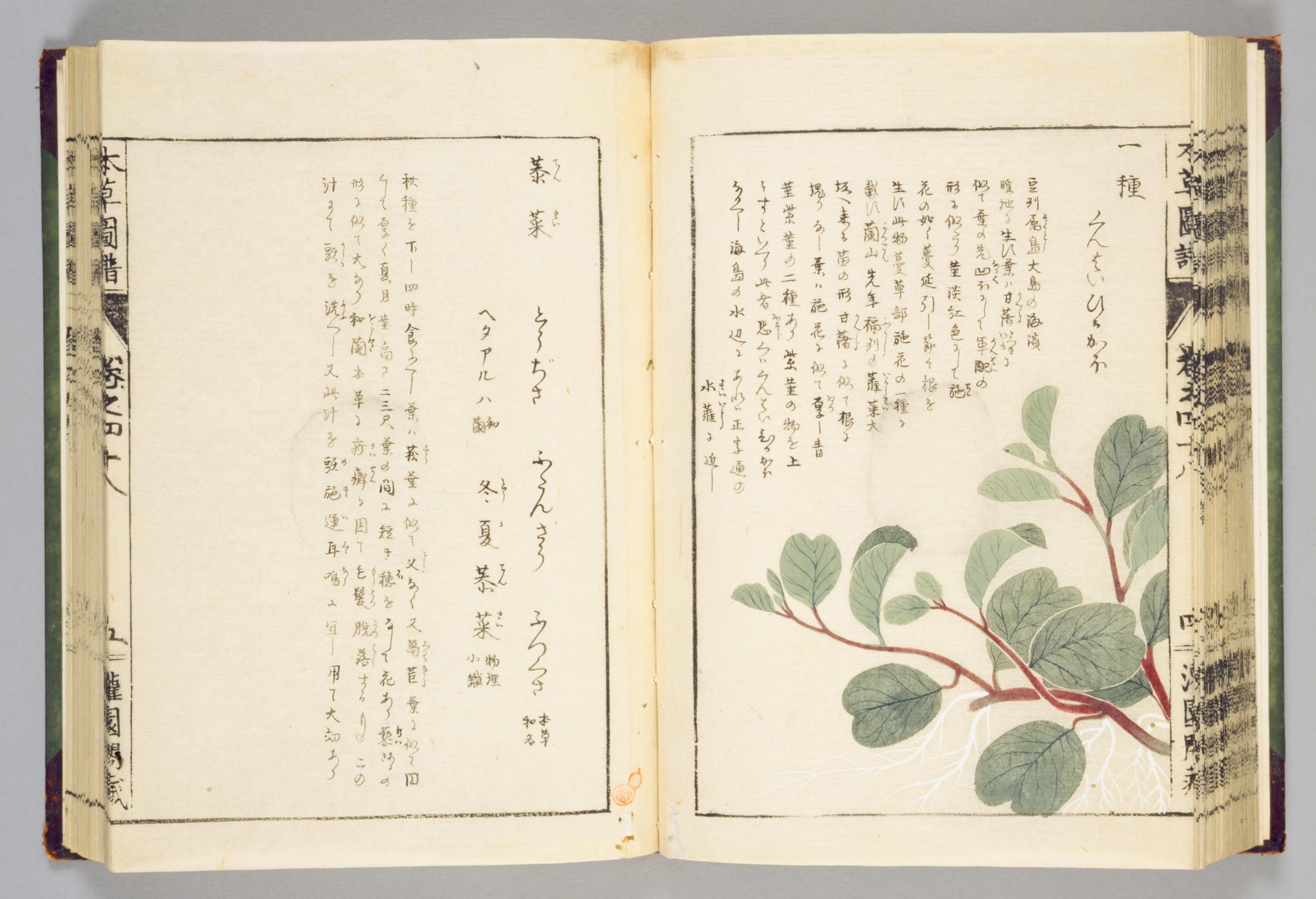 no full size  illustration available (3a)