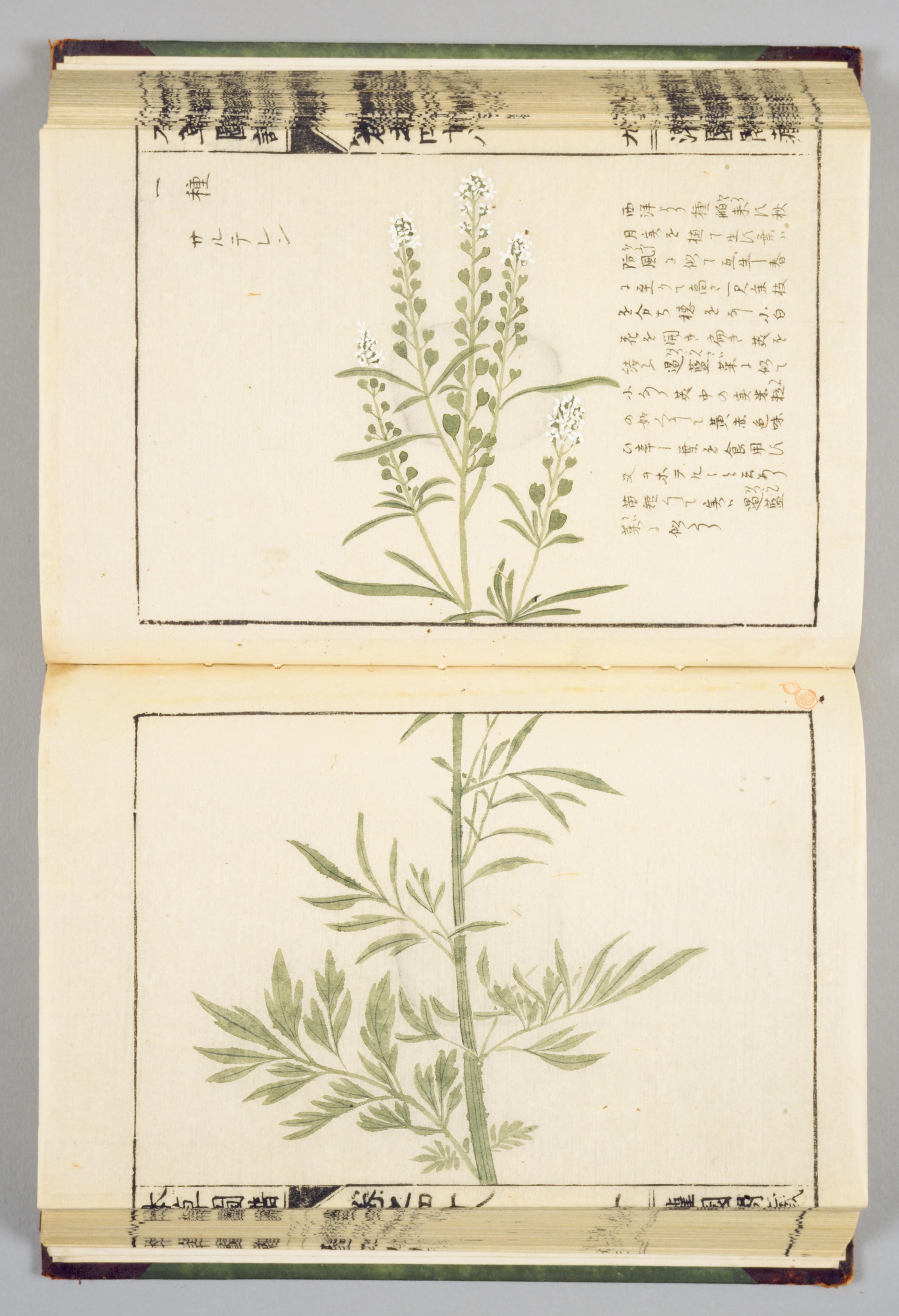 no full size  illustration available (3a)