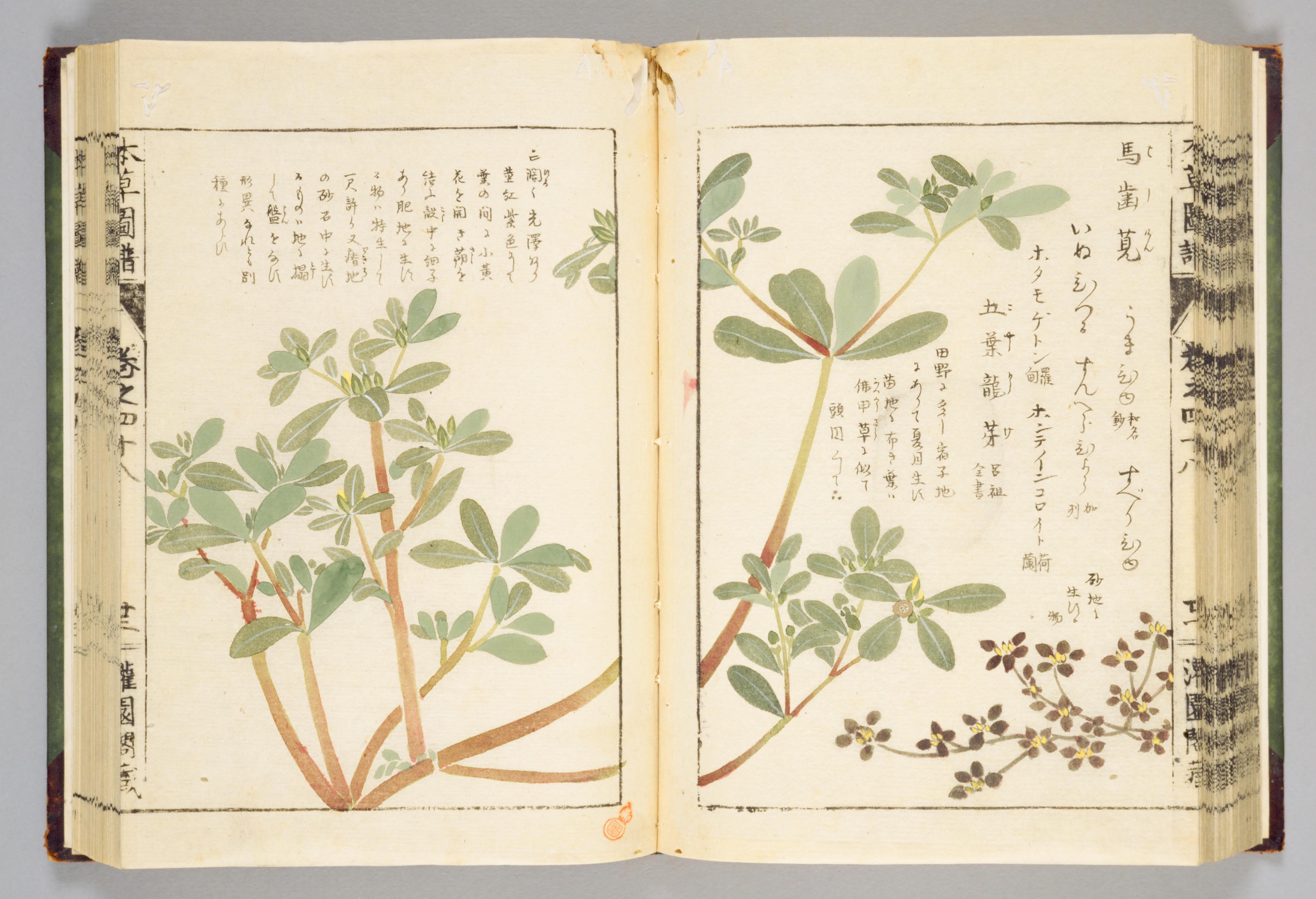 no full size  illustration available (3a)