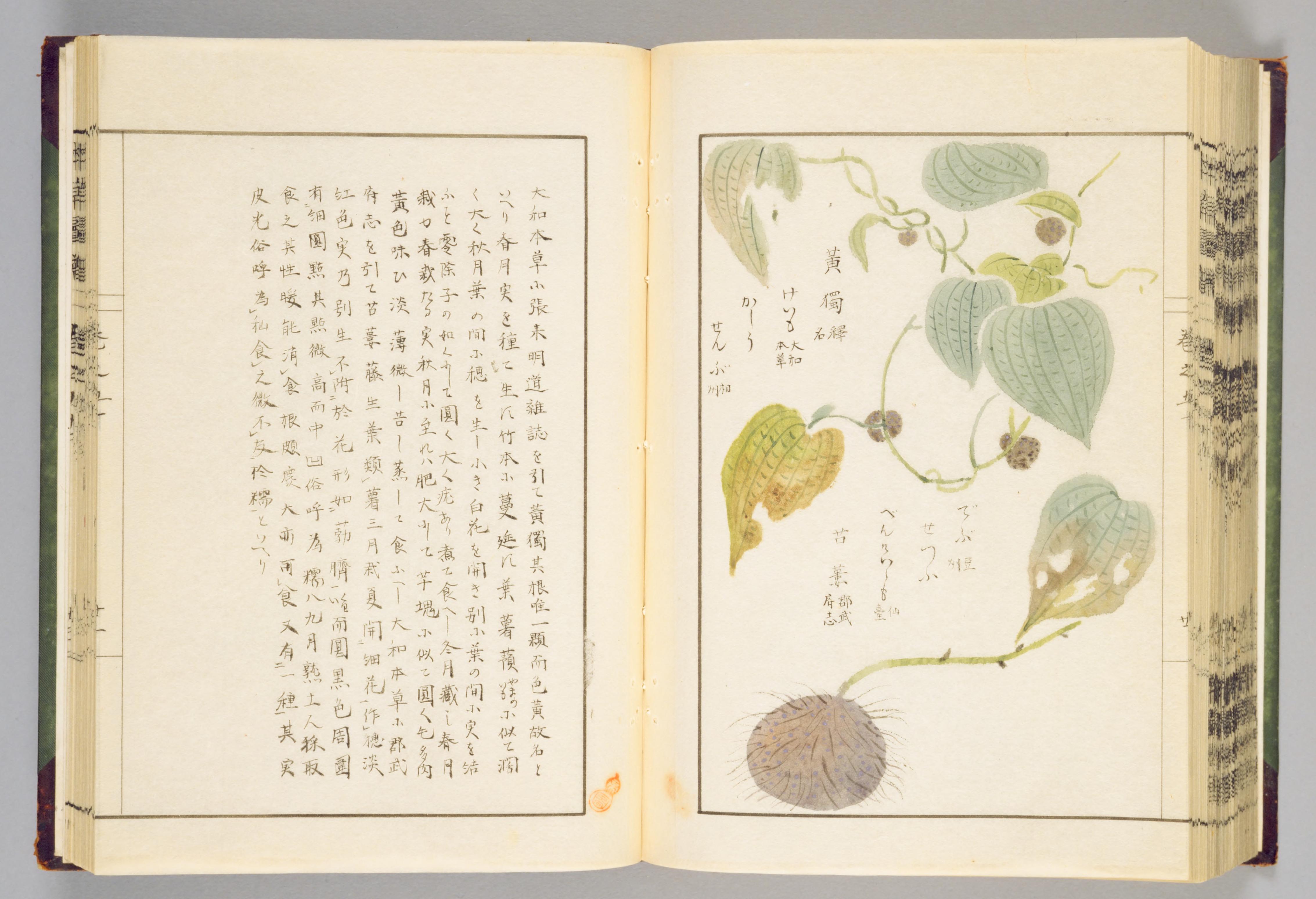 no full size  illustration available (3a)