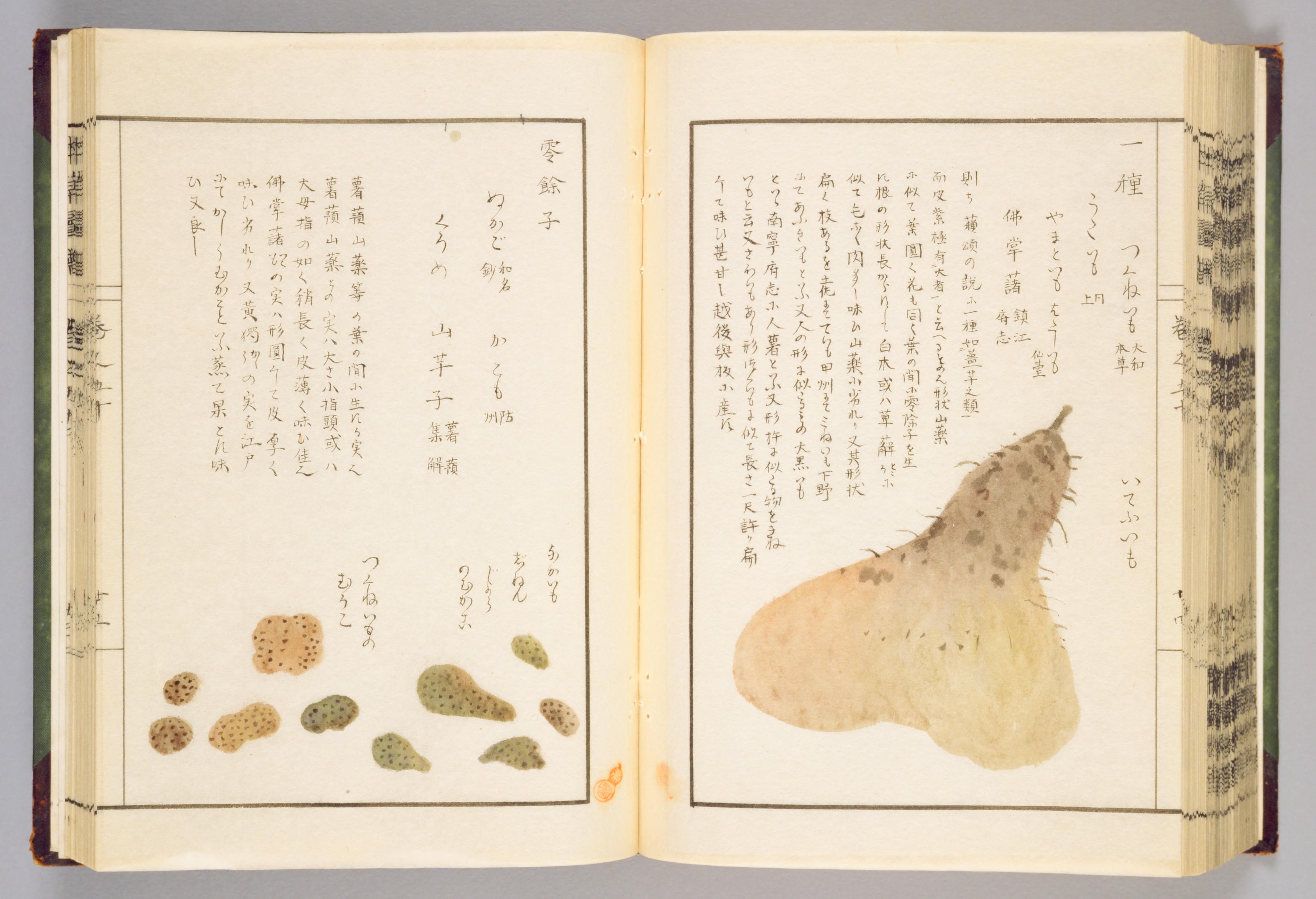 no full size  illustration available (3a)