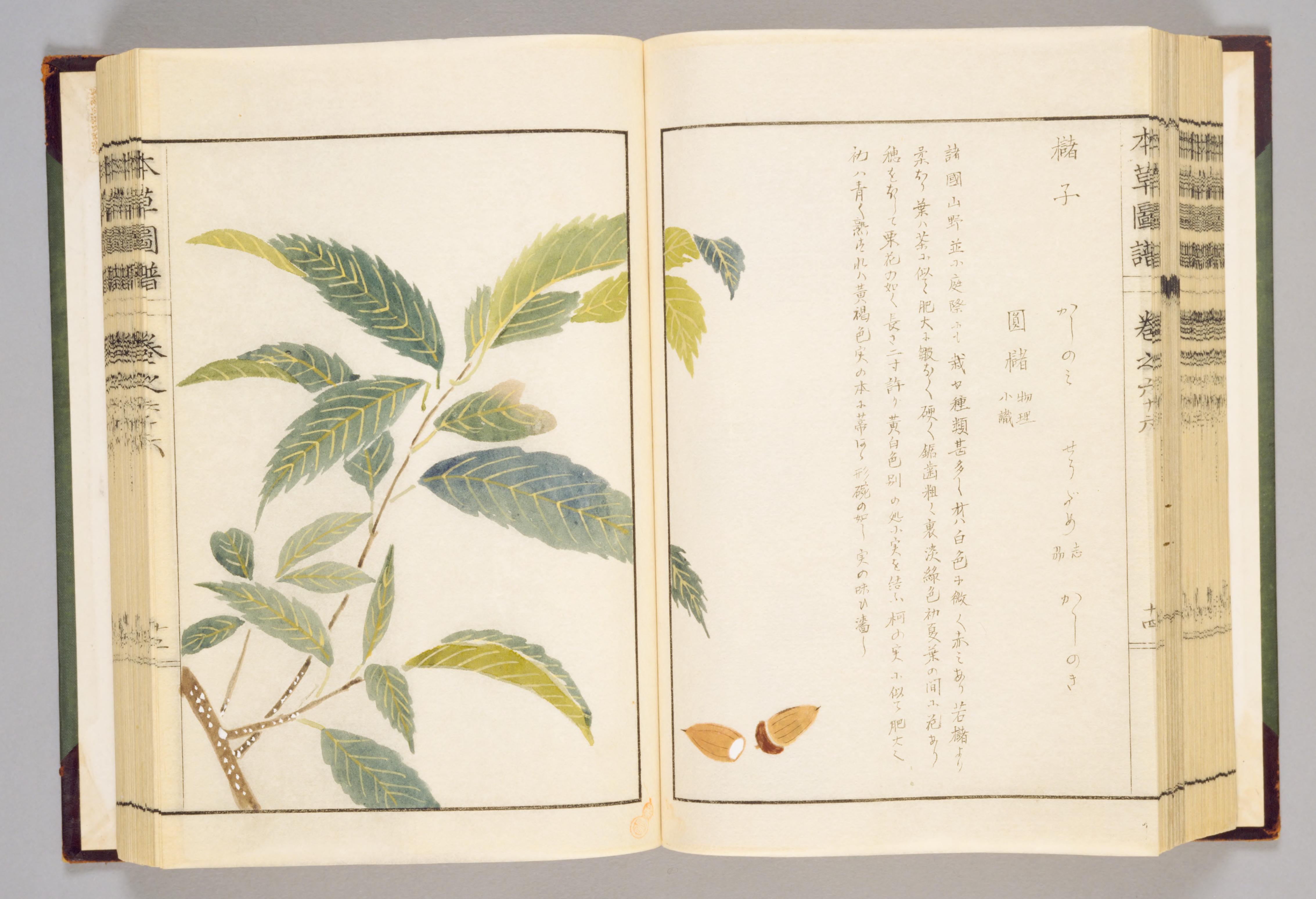 no full size  illustration available (3a)