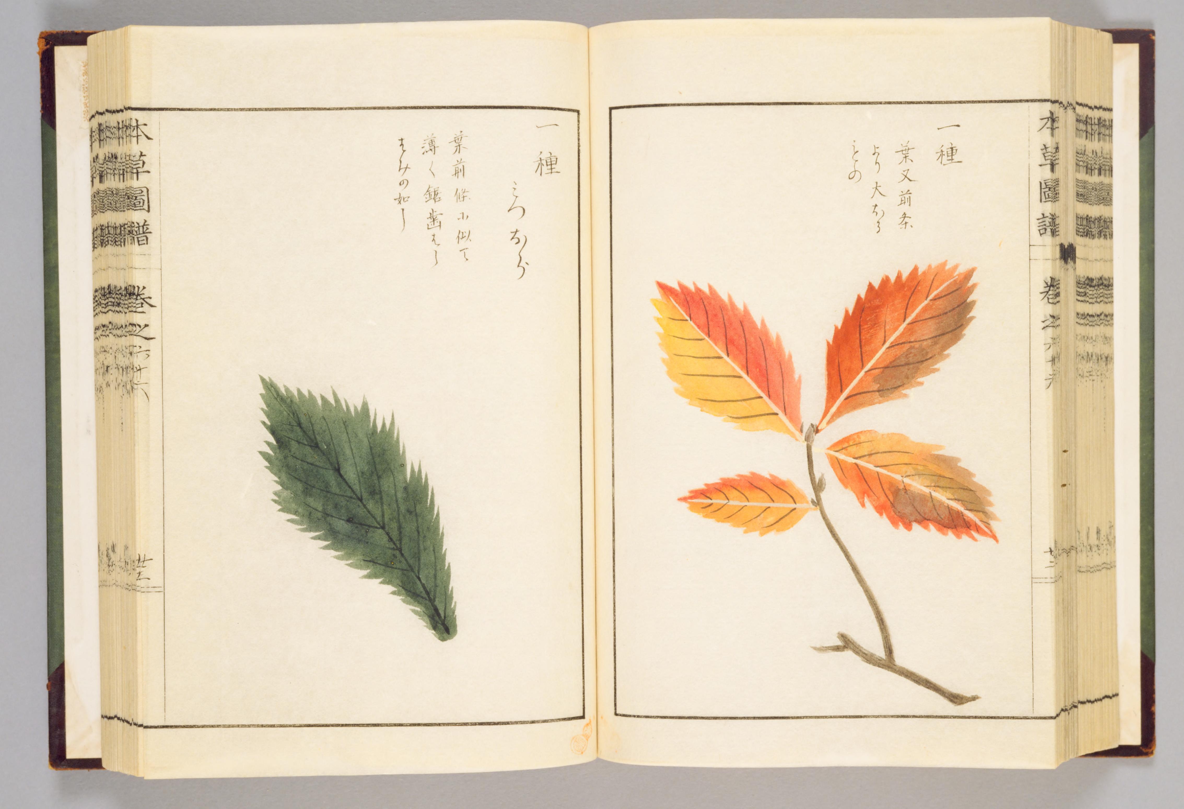 no full size  illustration available (3a)