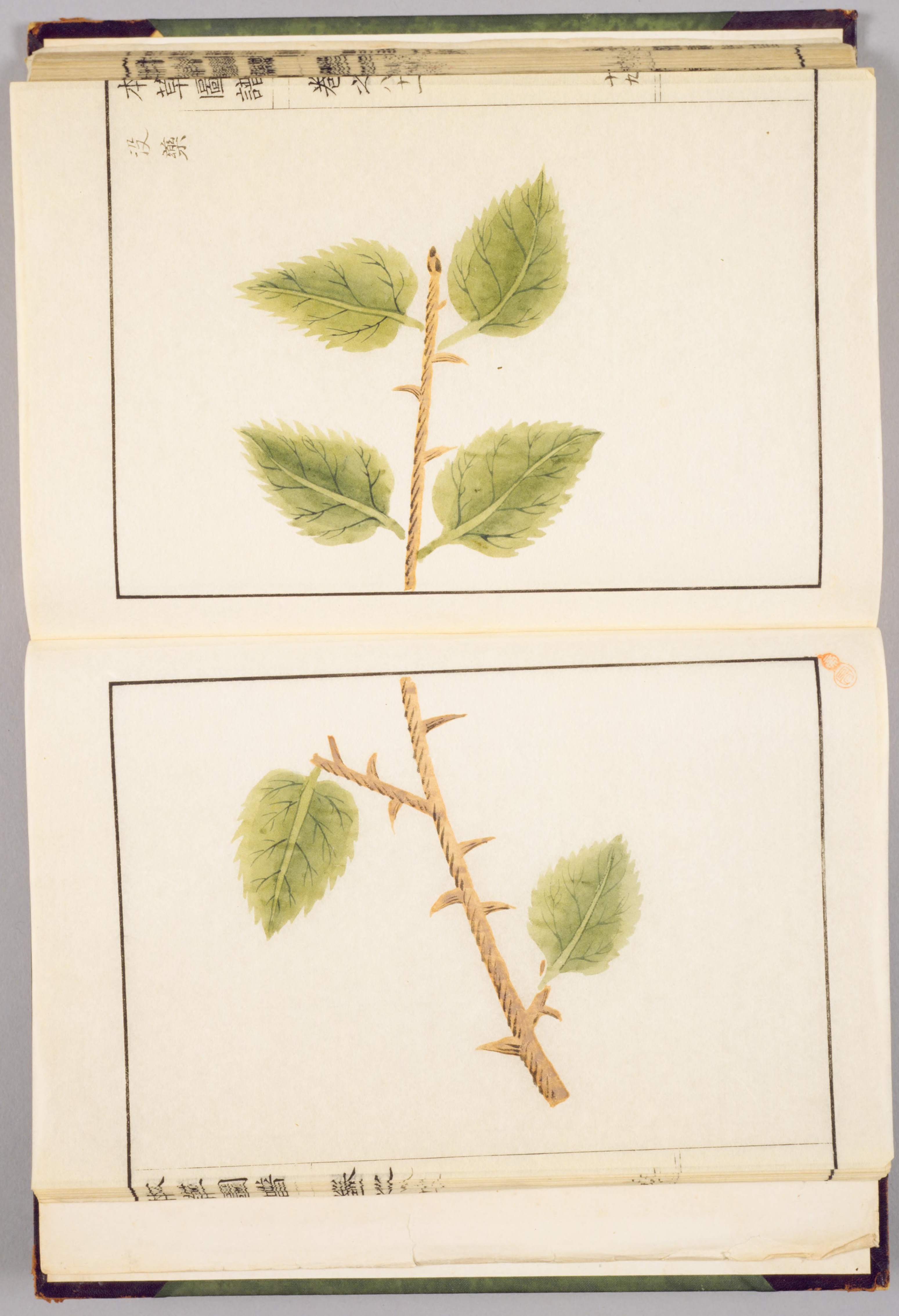 no full size  illustration available (3a)