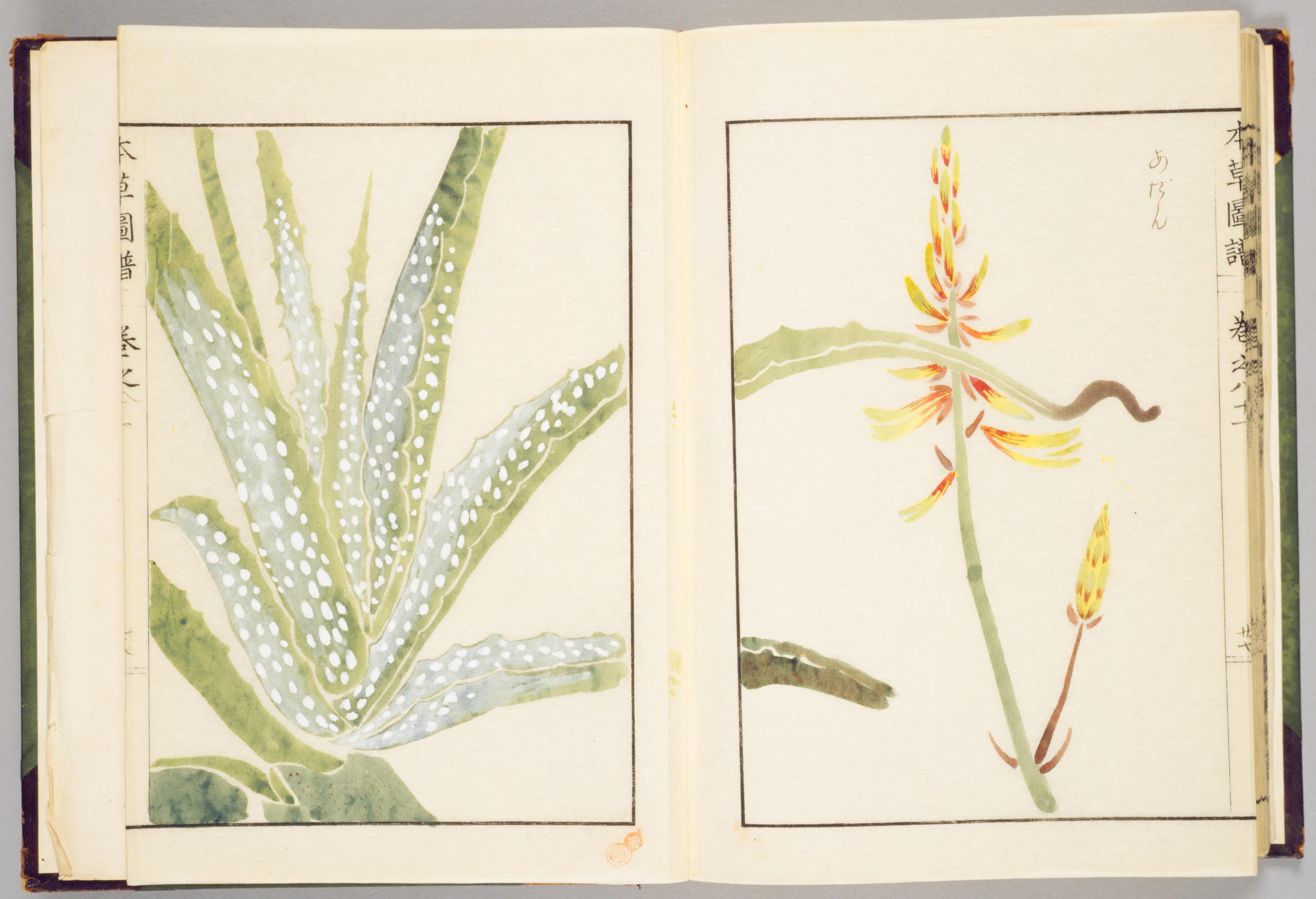 no full size  illustration available (3a)