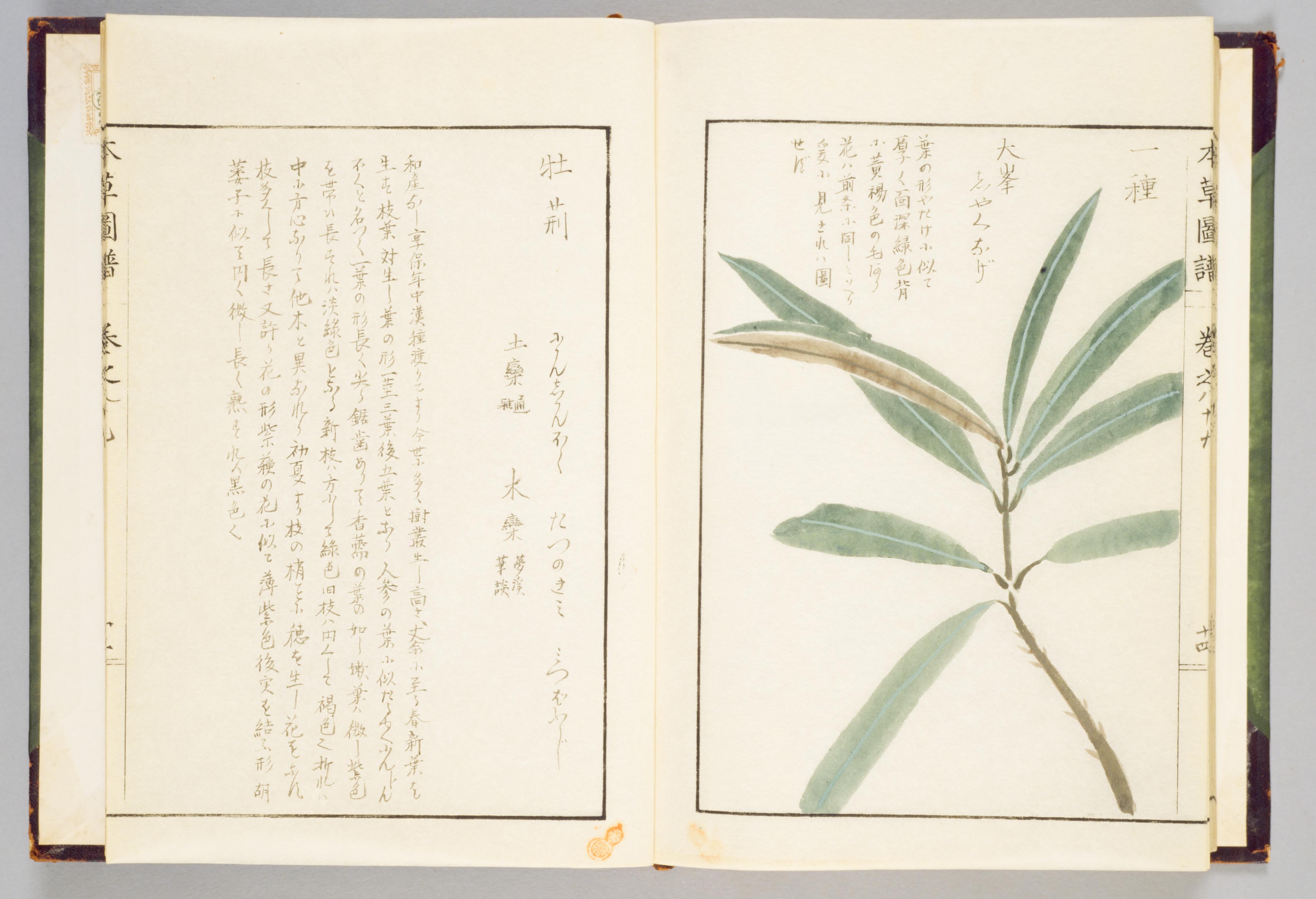 no full size  illustration available (3a)