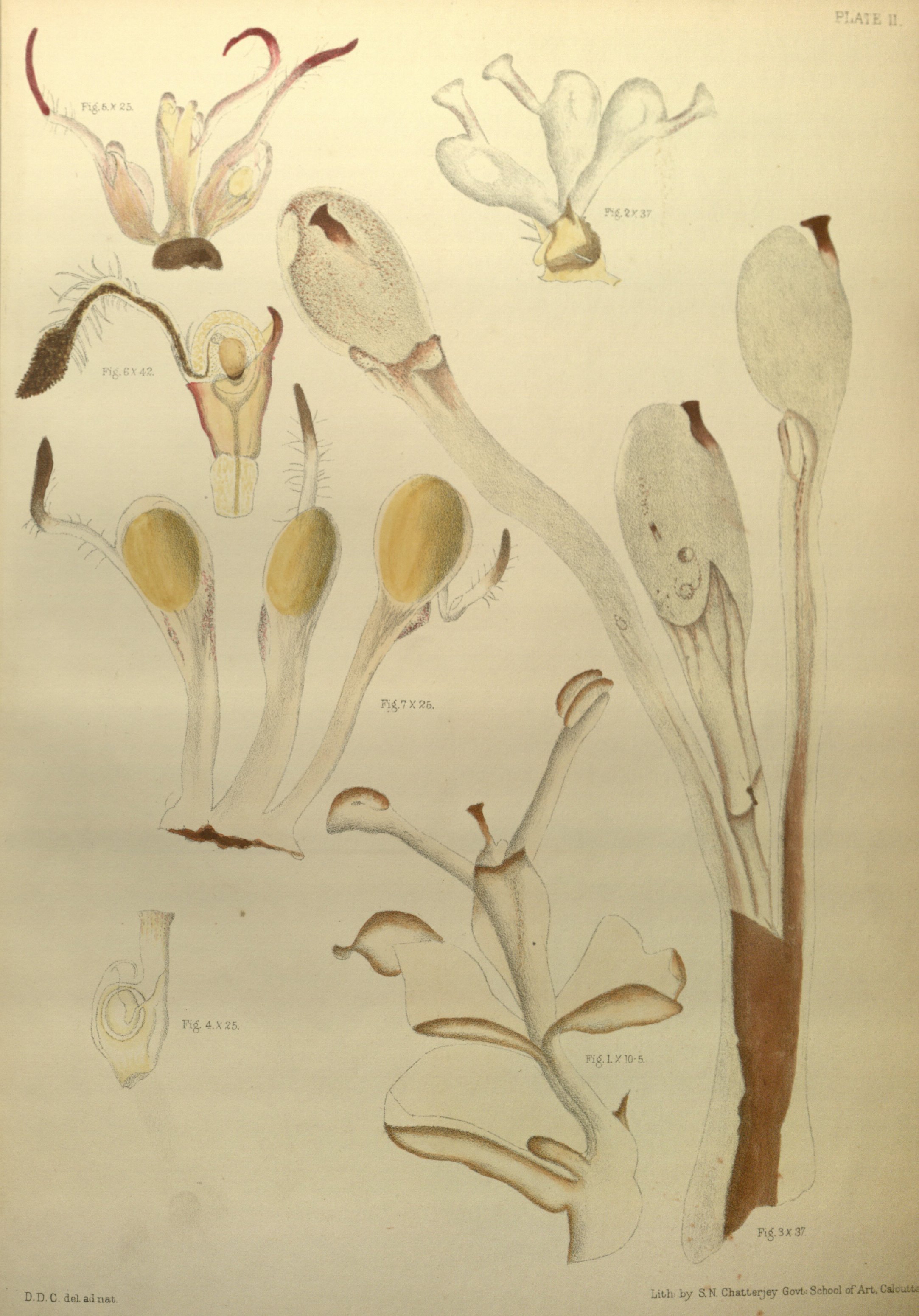 no full size  illustration available (3a)