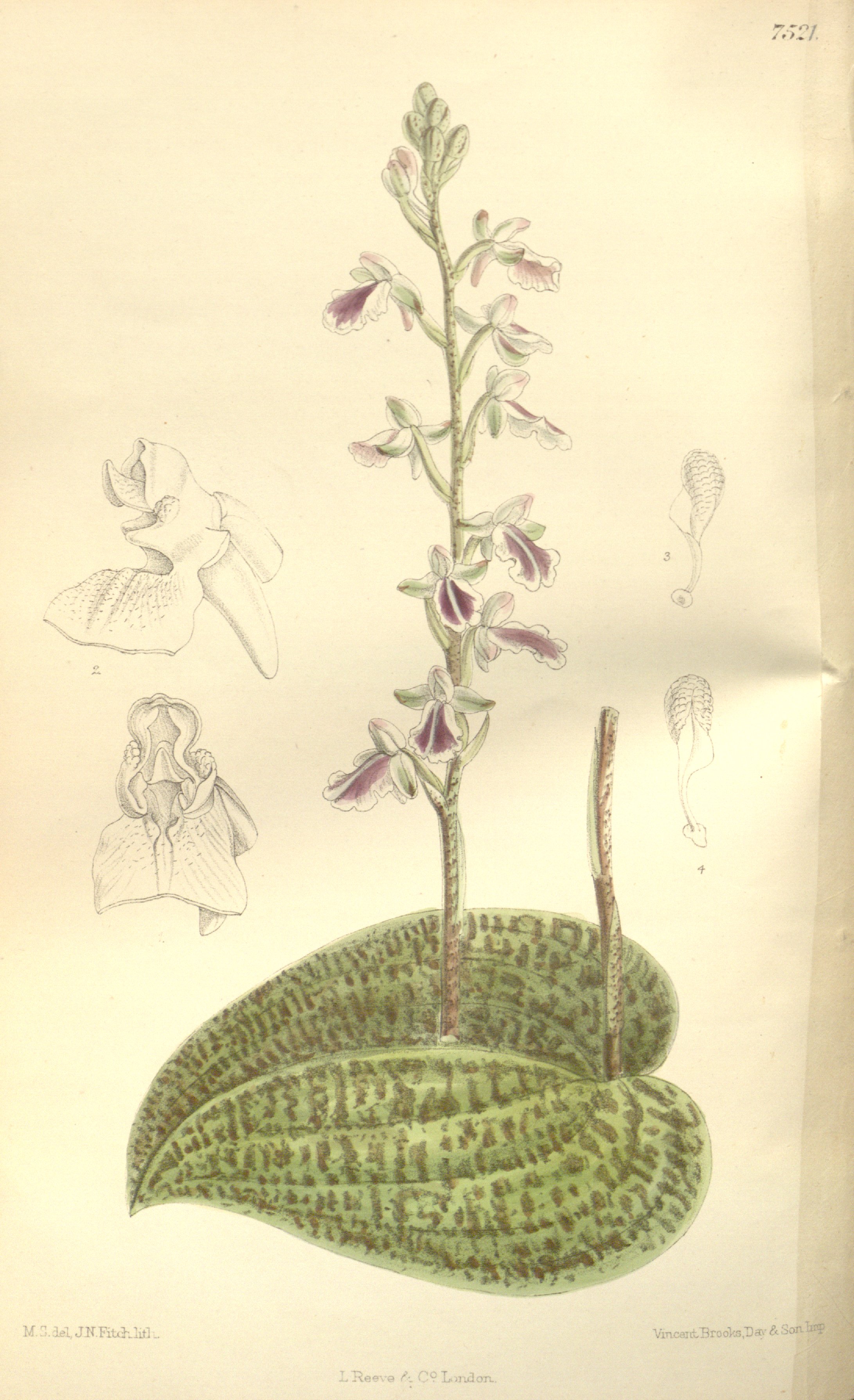 no full size  illustration available (3a)