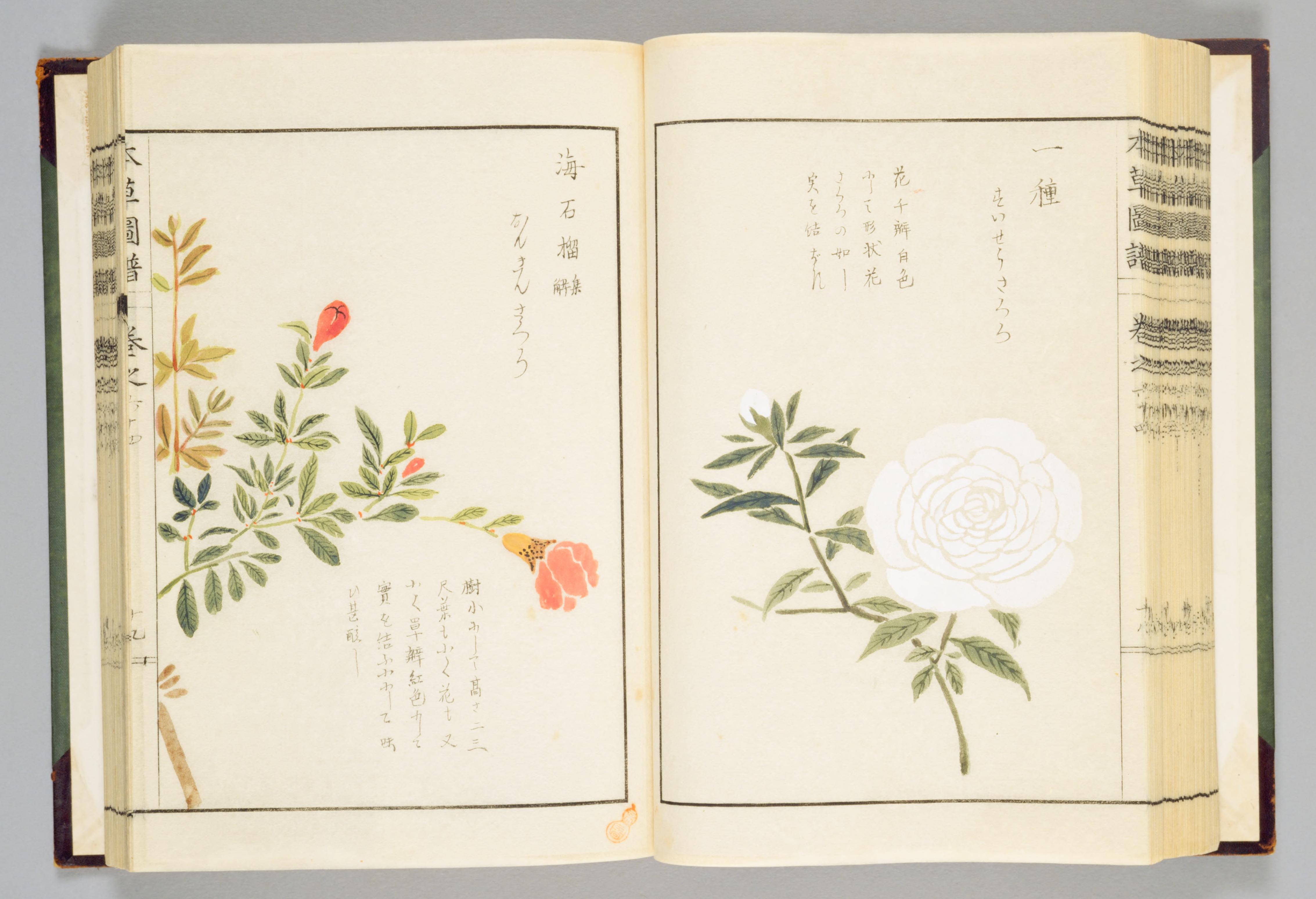 no full size  illustration available (3a)