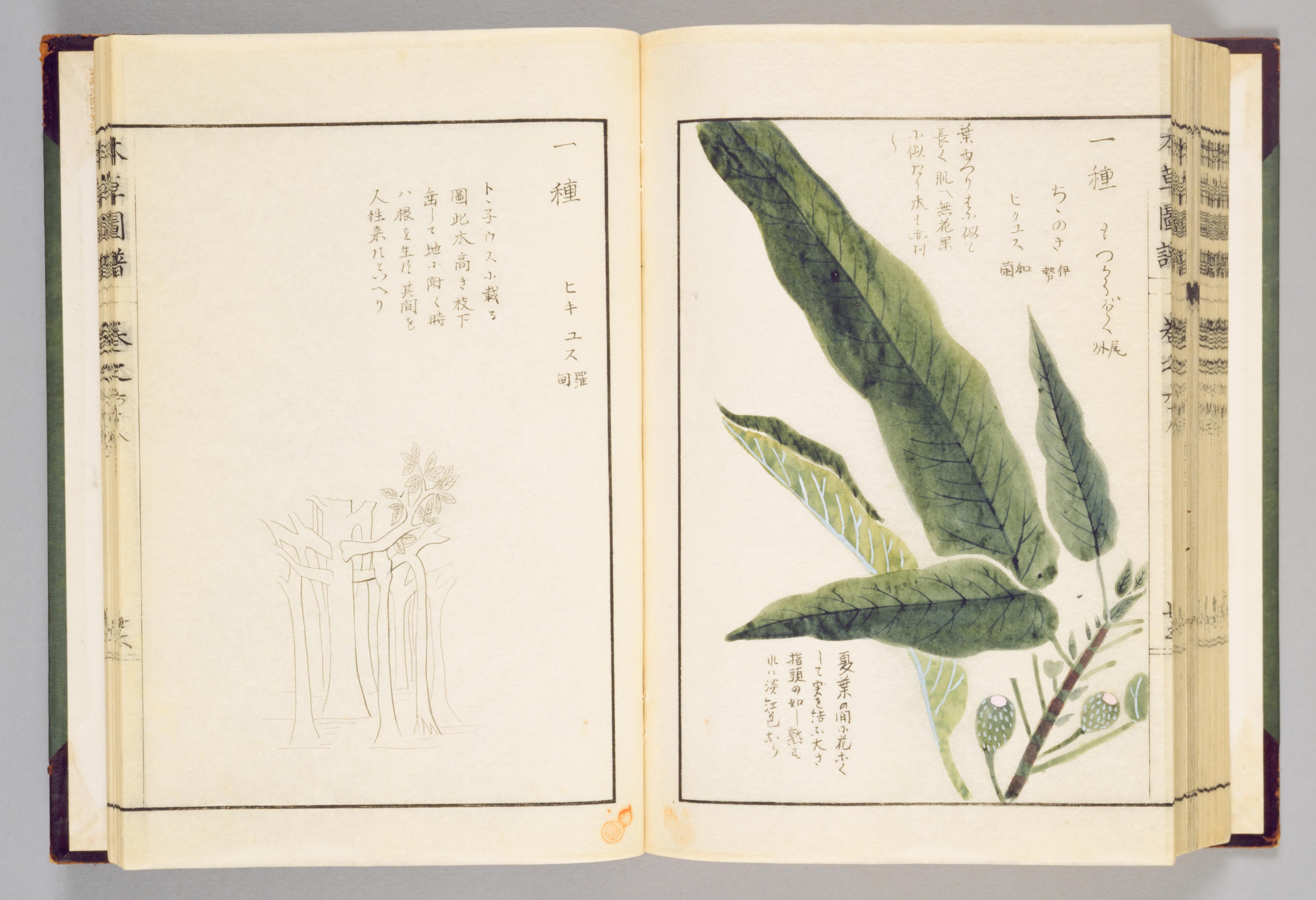 no full size  illustration available (3a)