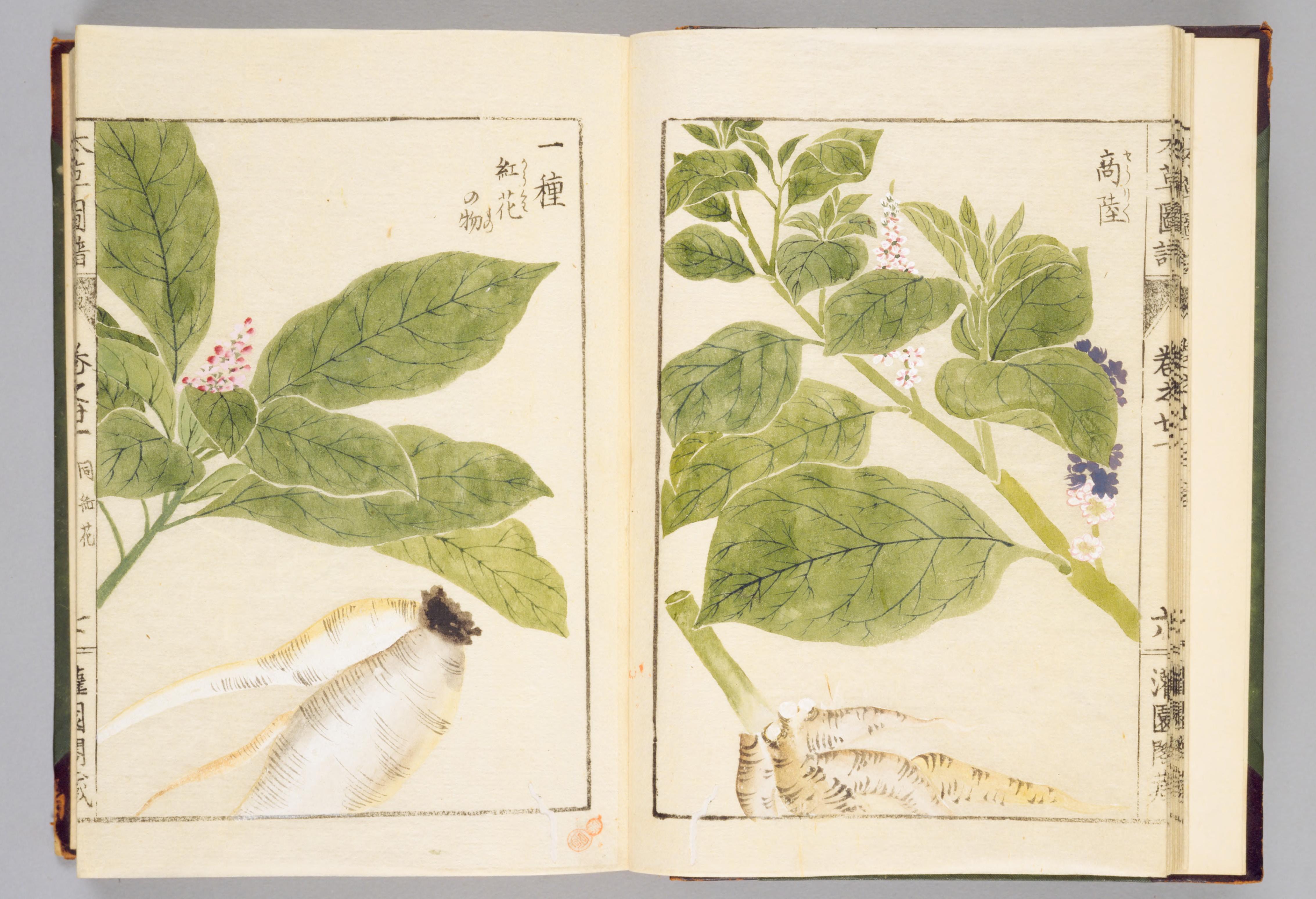 no full size  illustration available (3a)