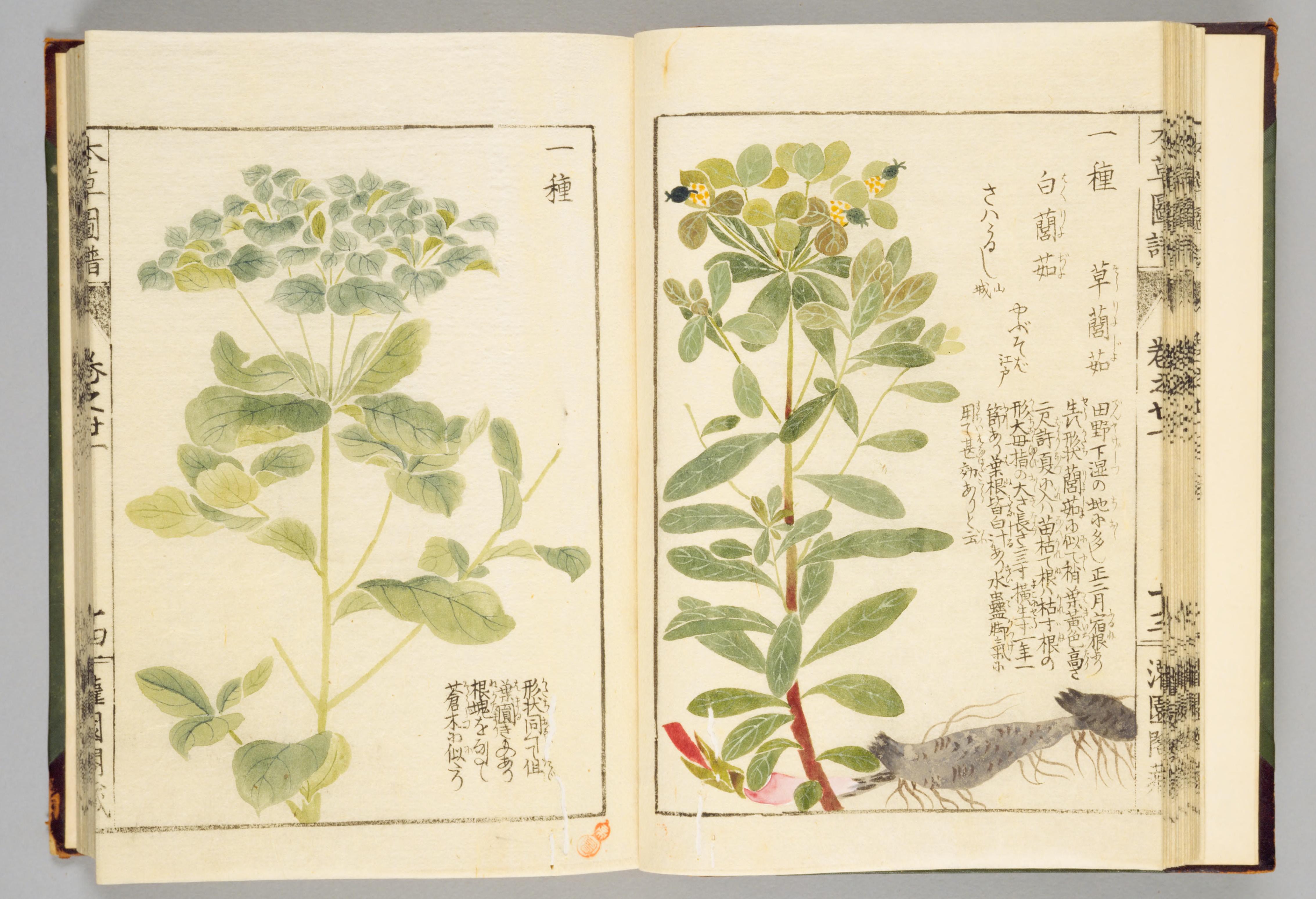 no full size  illustration available (3a)