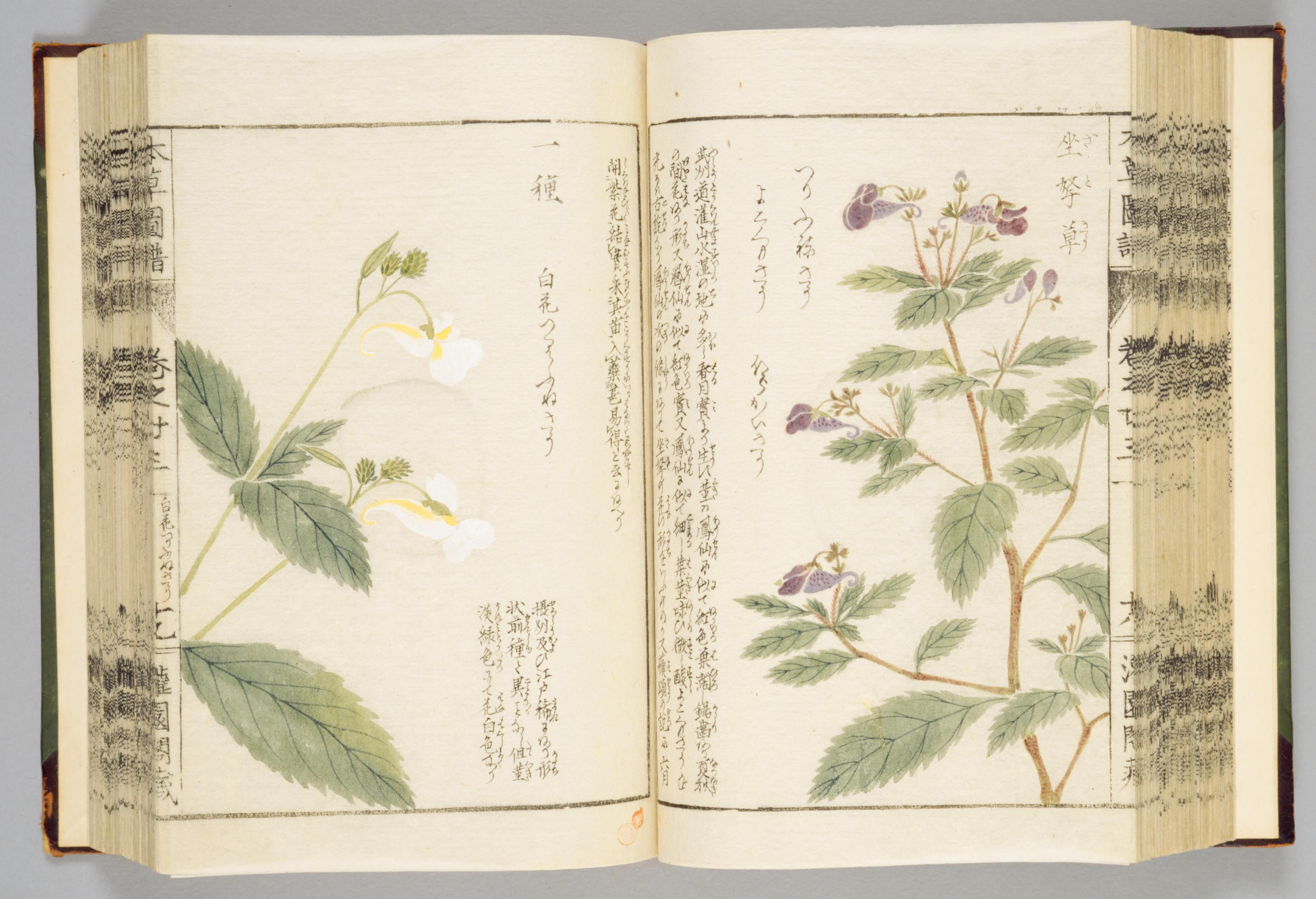 no full size  illustration available (3a)