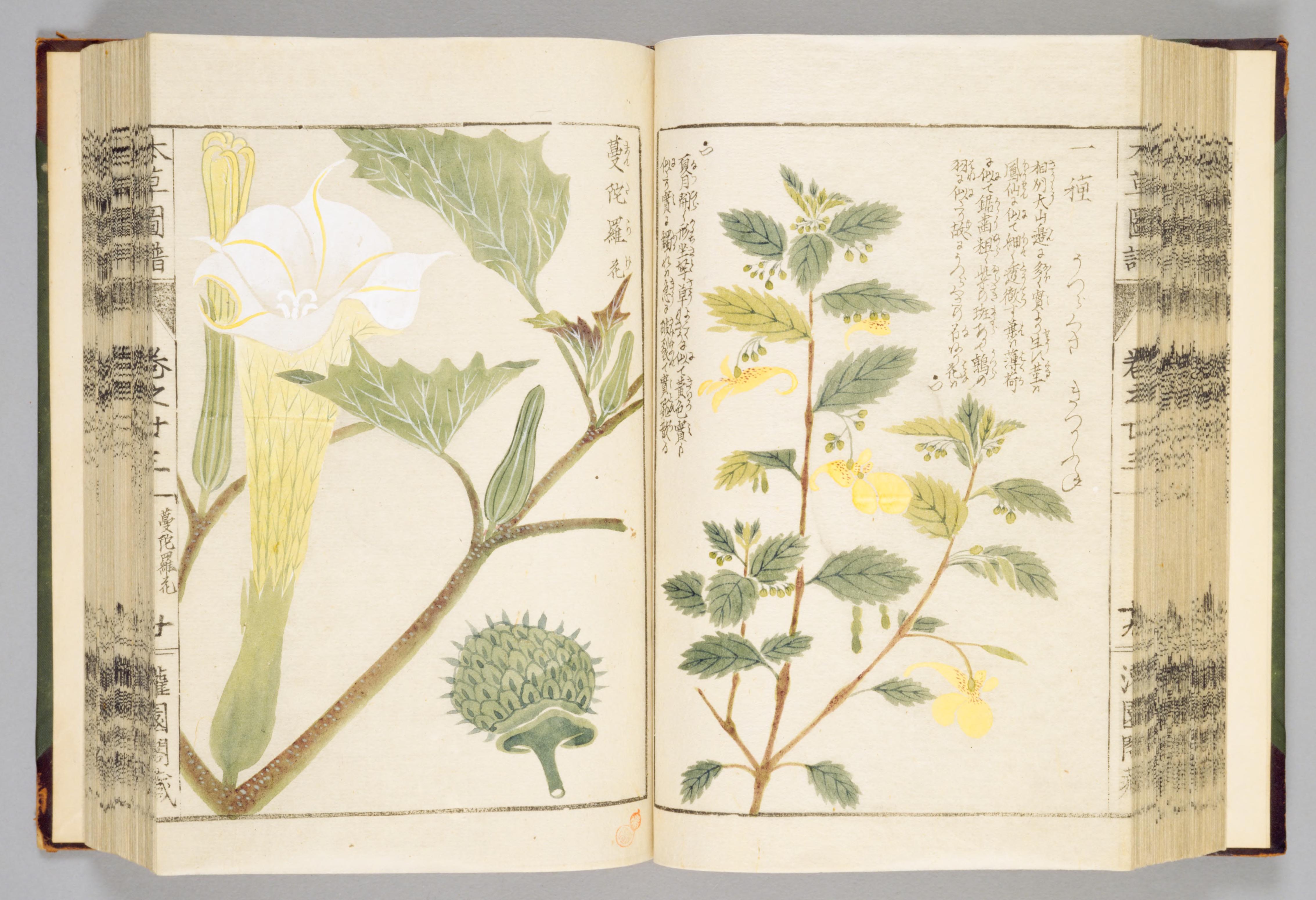 no full size  illustration available (3a)