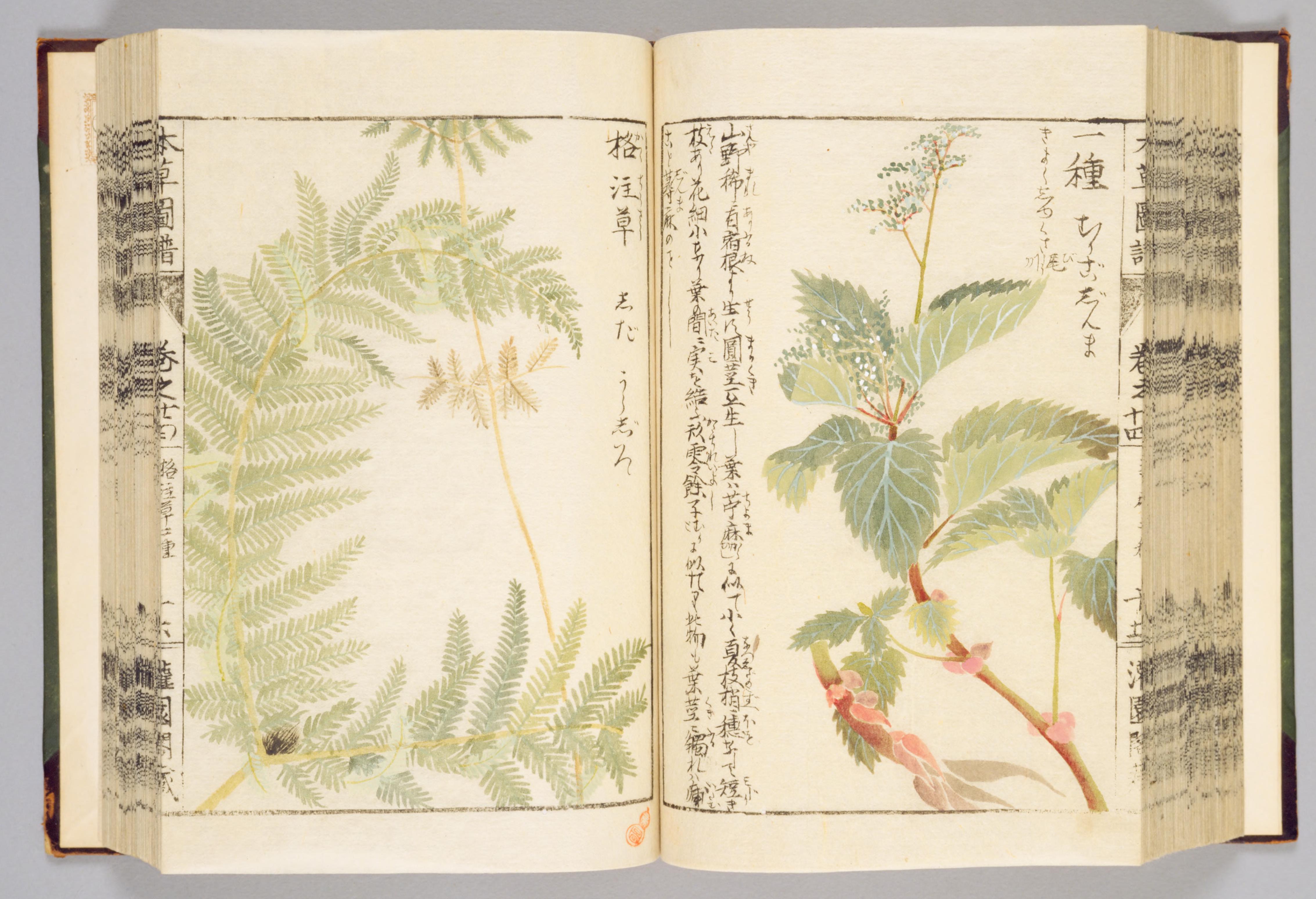 no full size  illustration available (3a)