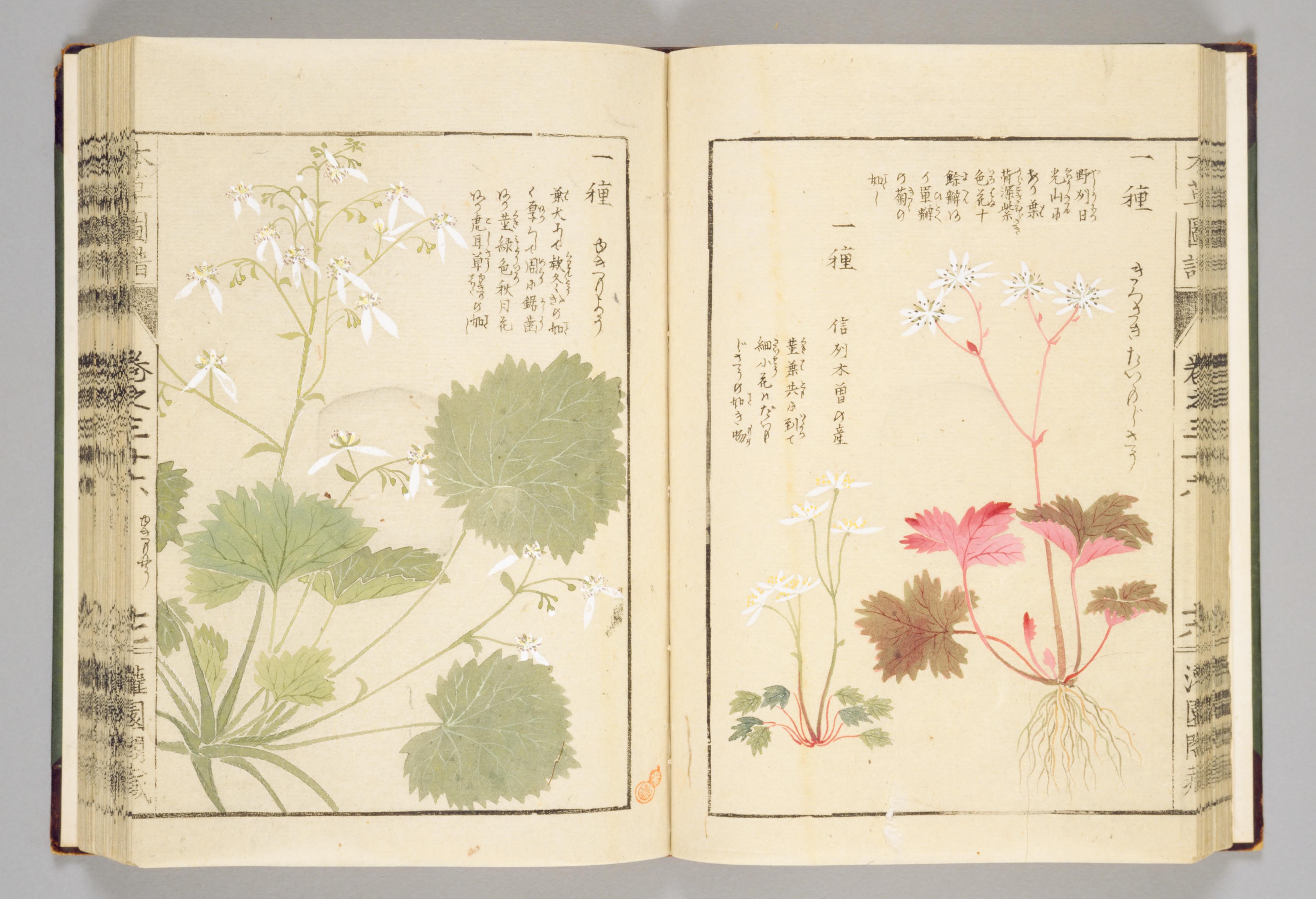 no full size  illustration available (3a)