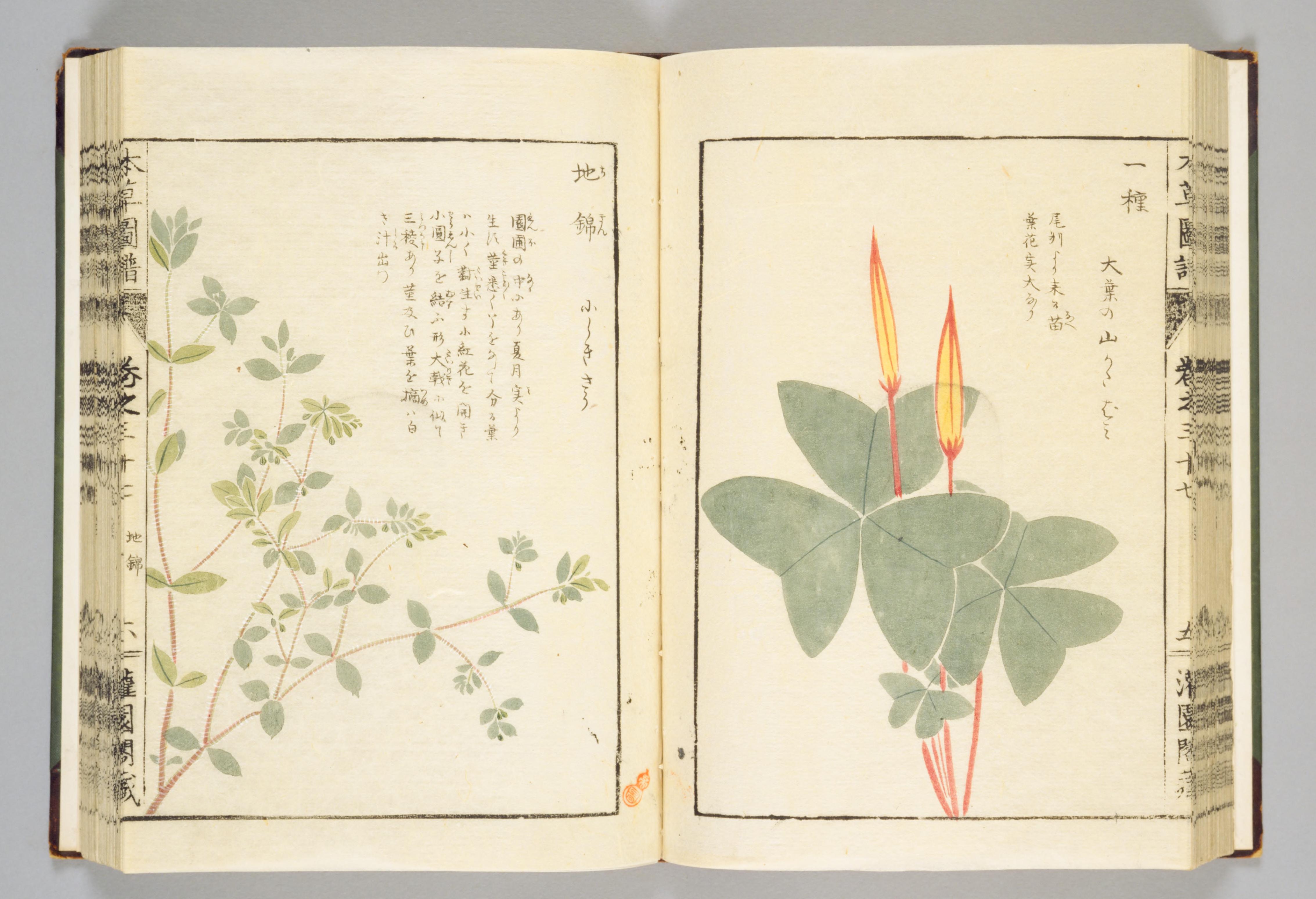 no full size  illustration available (3a)