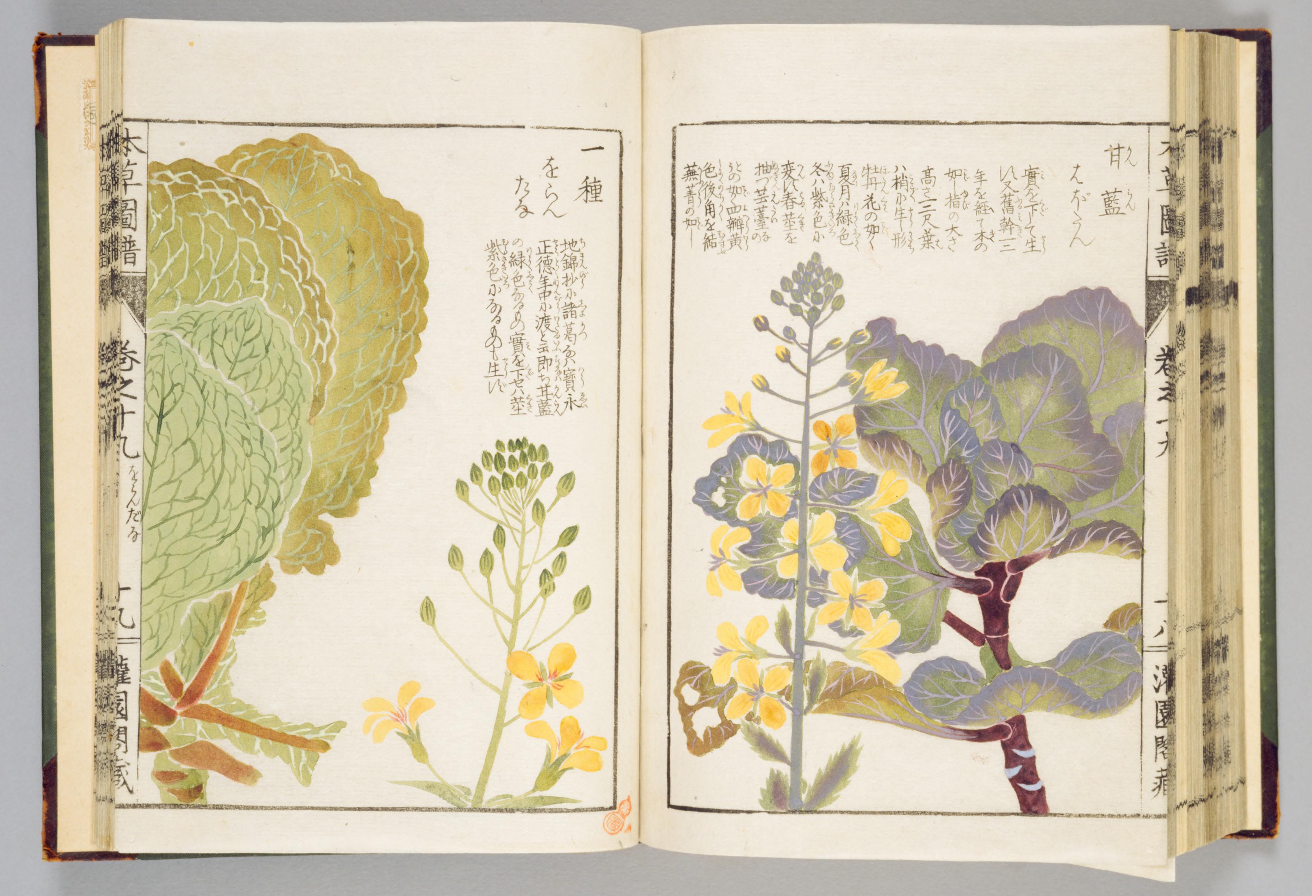 no full size  illustration available (3a)