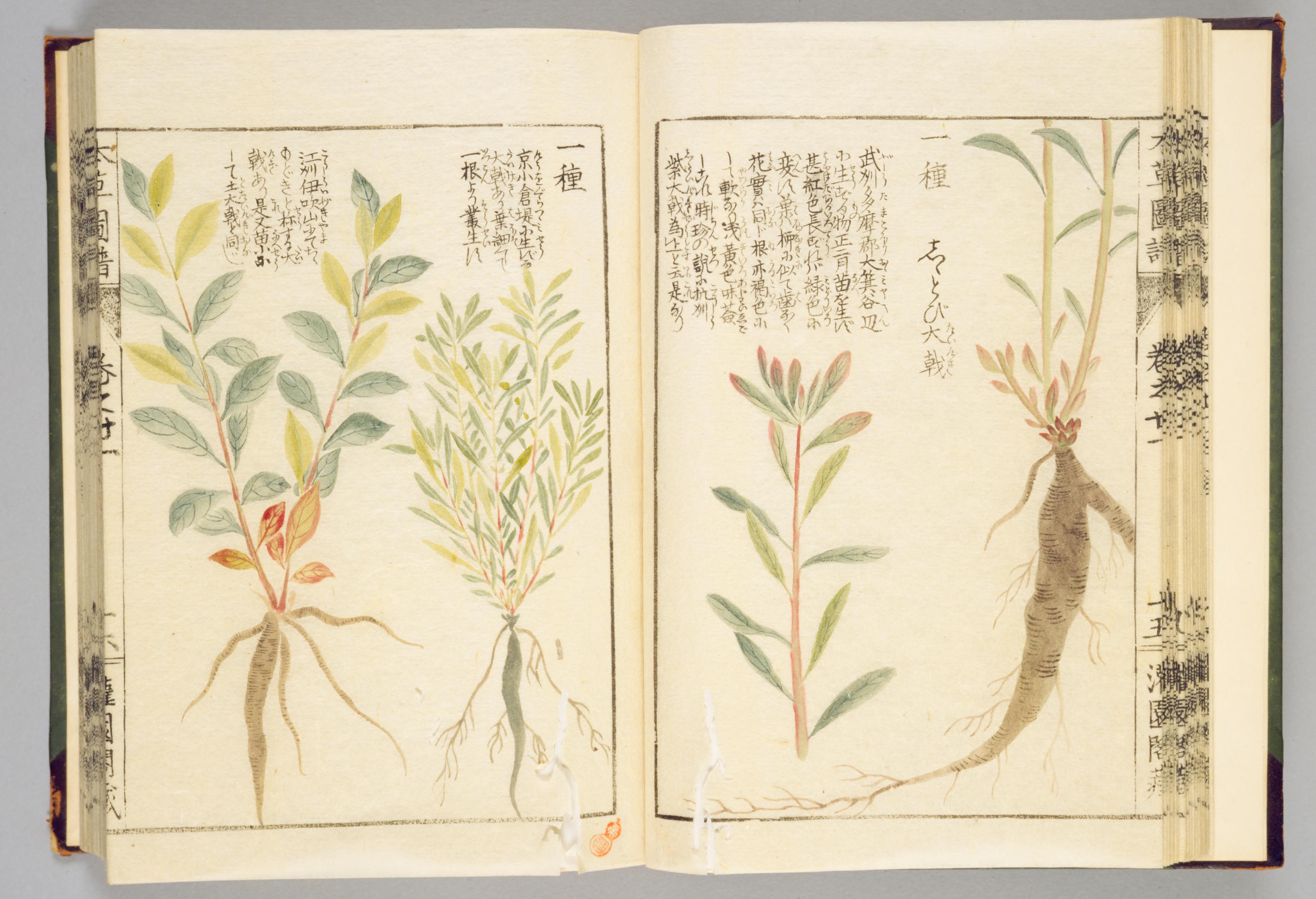 no full size  illustration available (3a)