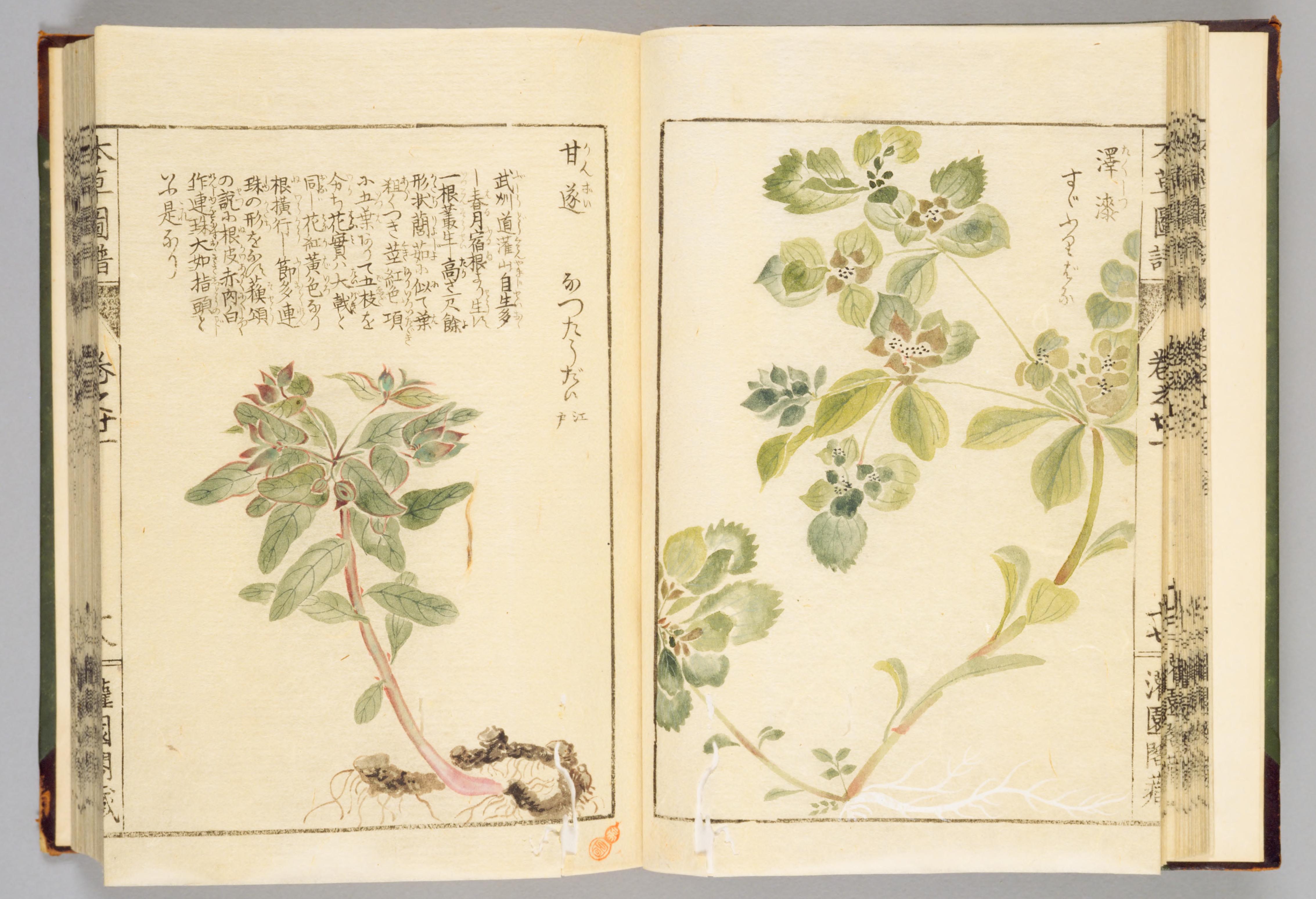 no full size  illustration available (3a)