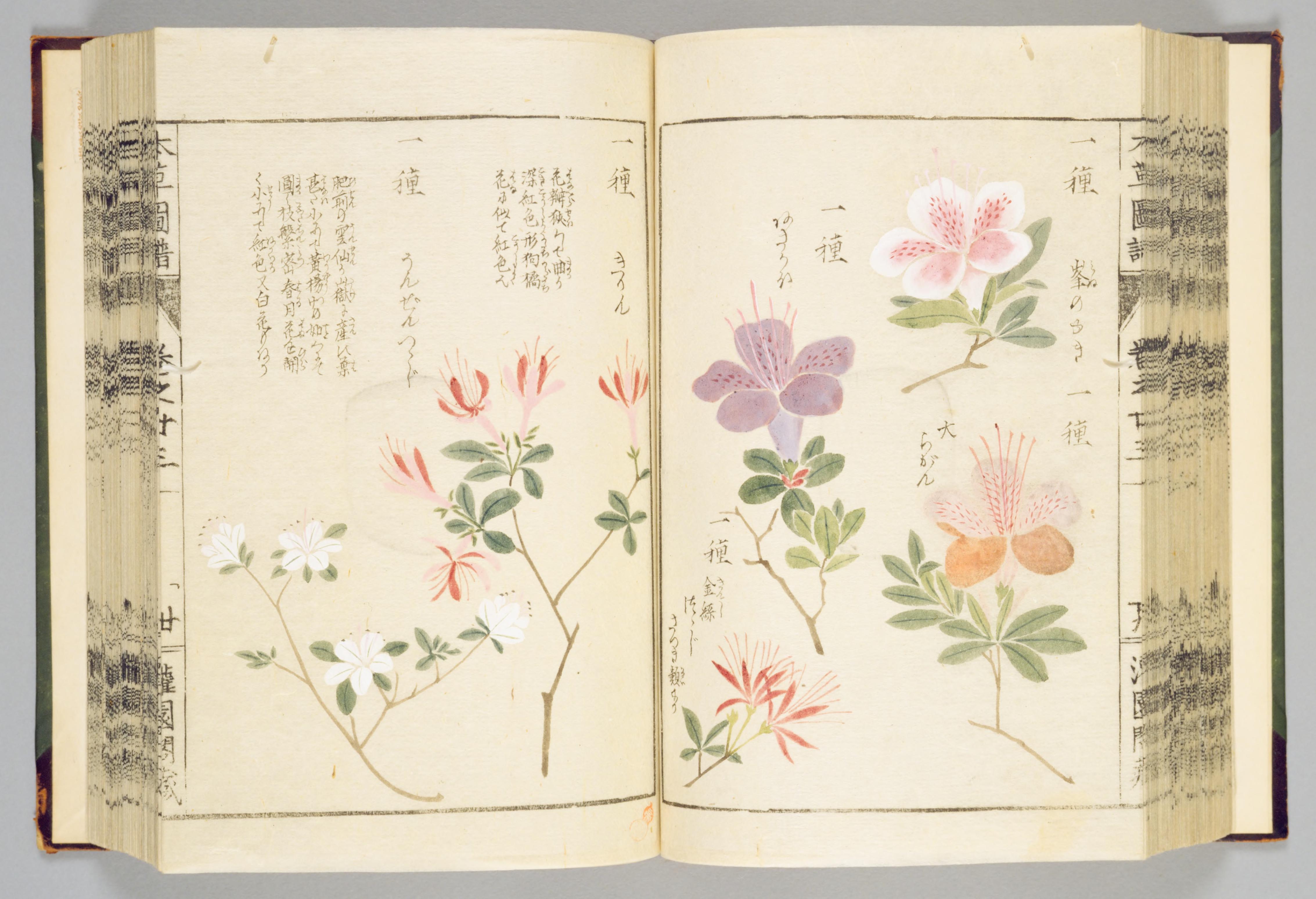 no full size  illustration available (3a)