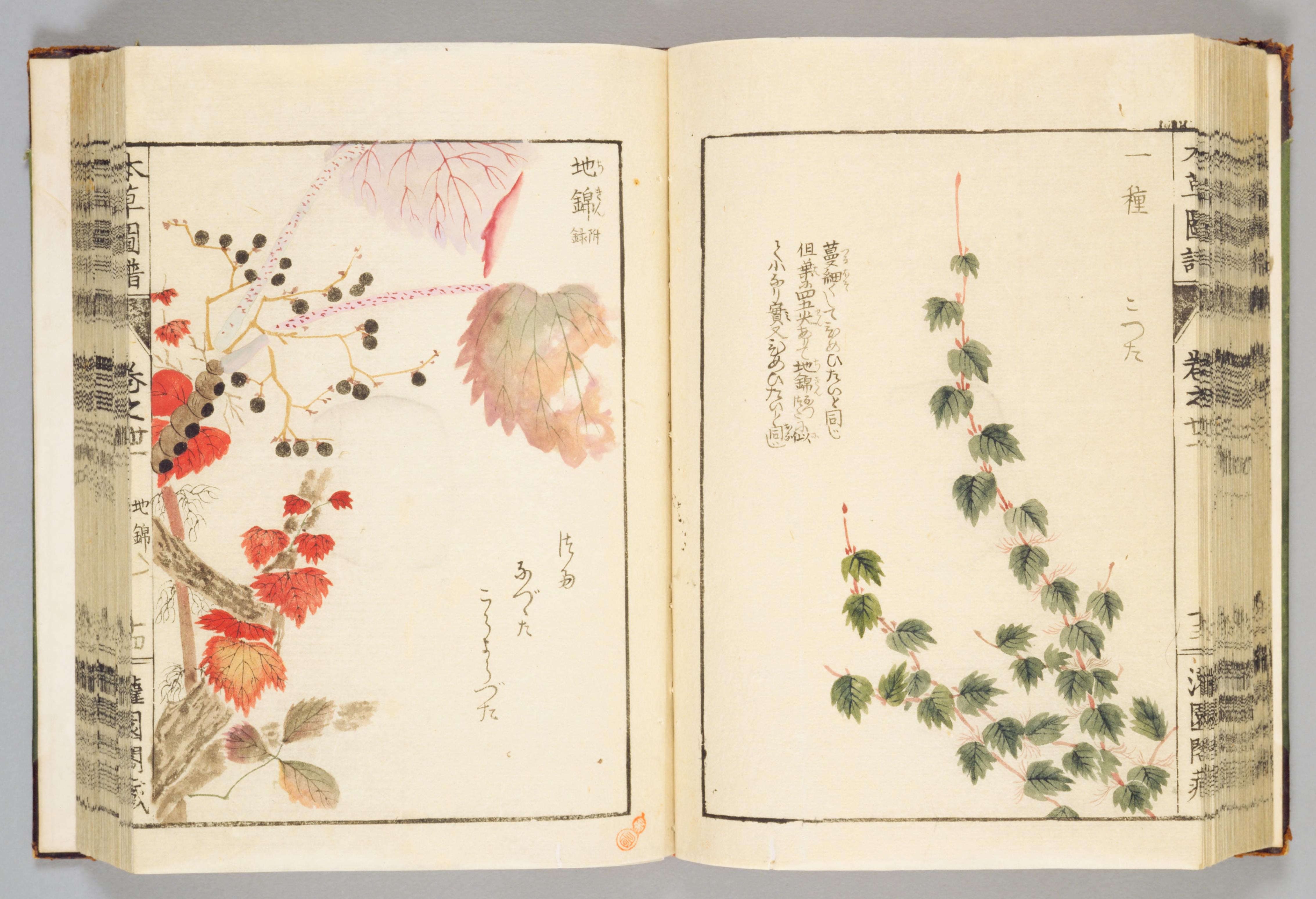 no full size  illustration available (3a)