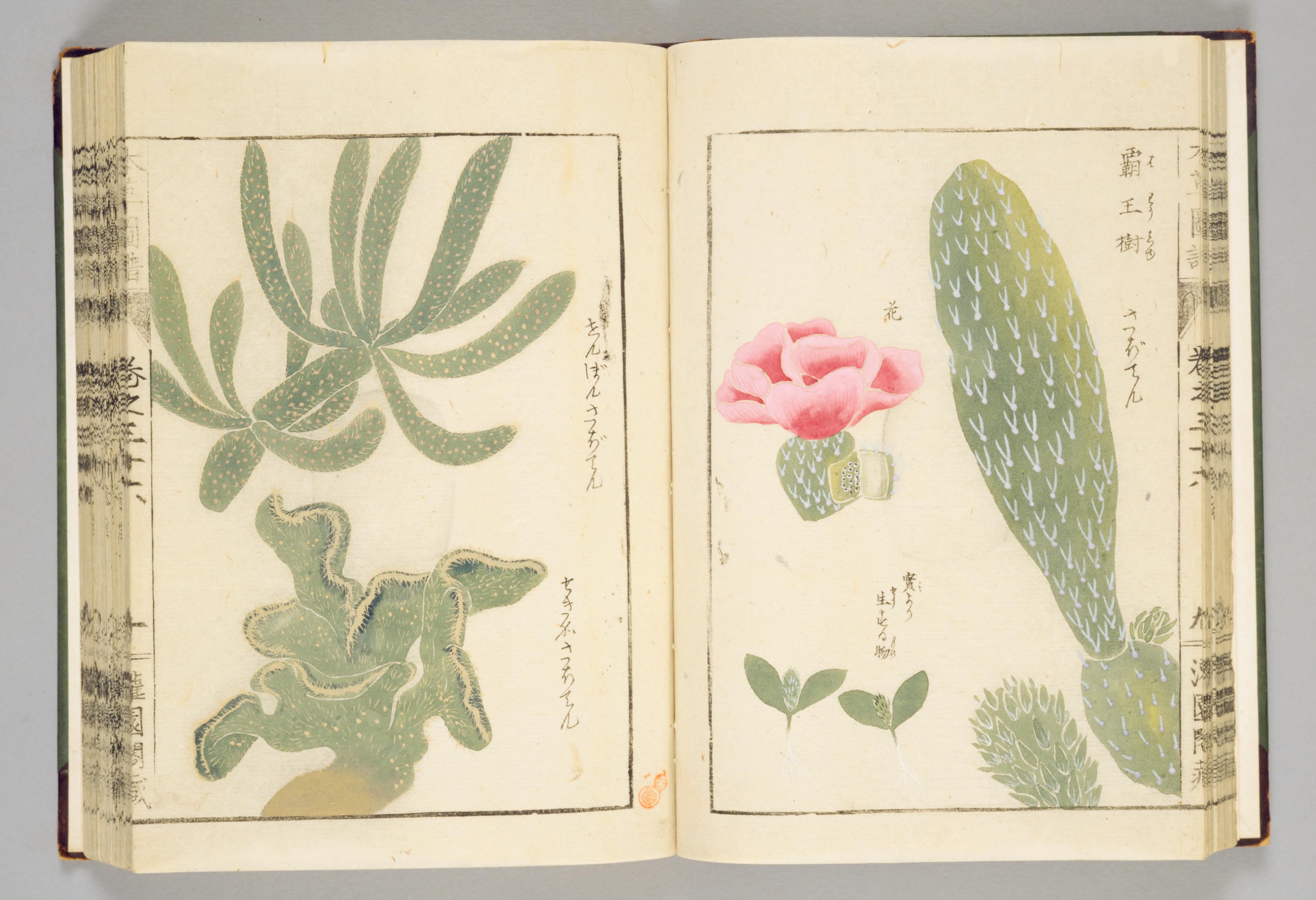 no full size  illustration available (3a)