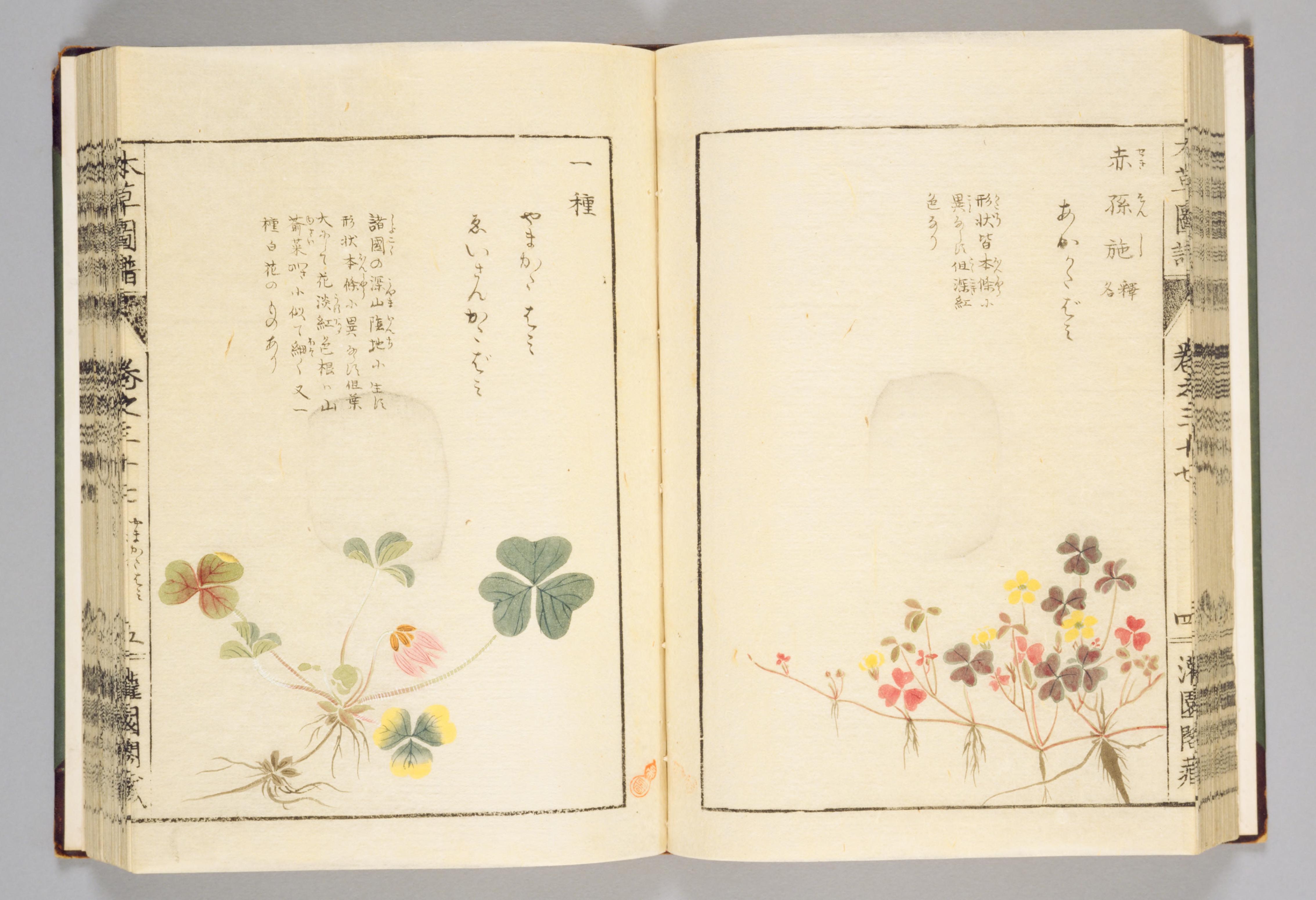 no full size  illustration available (3a)