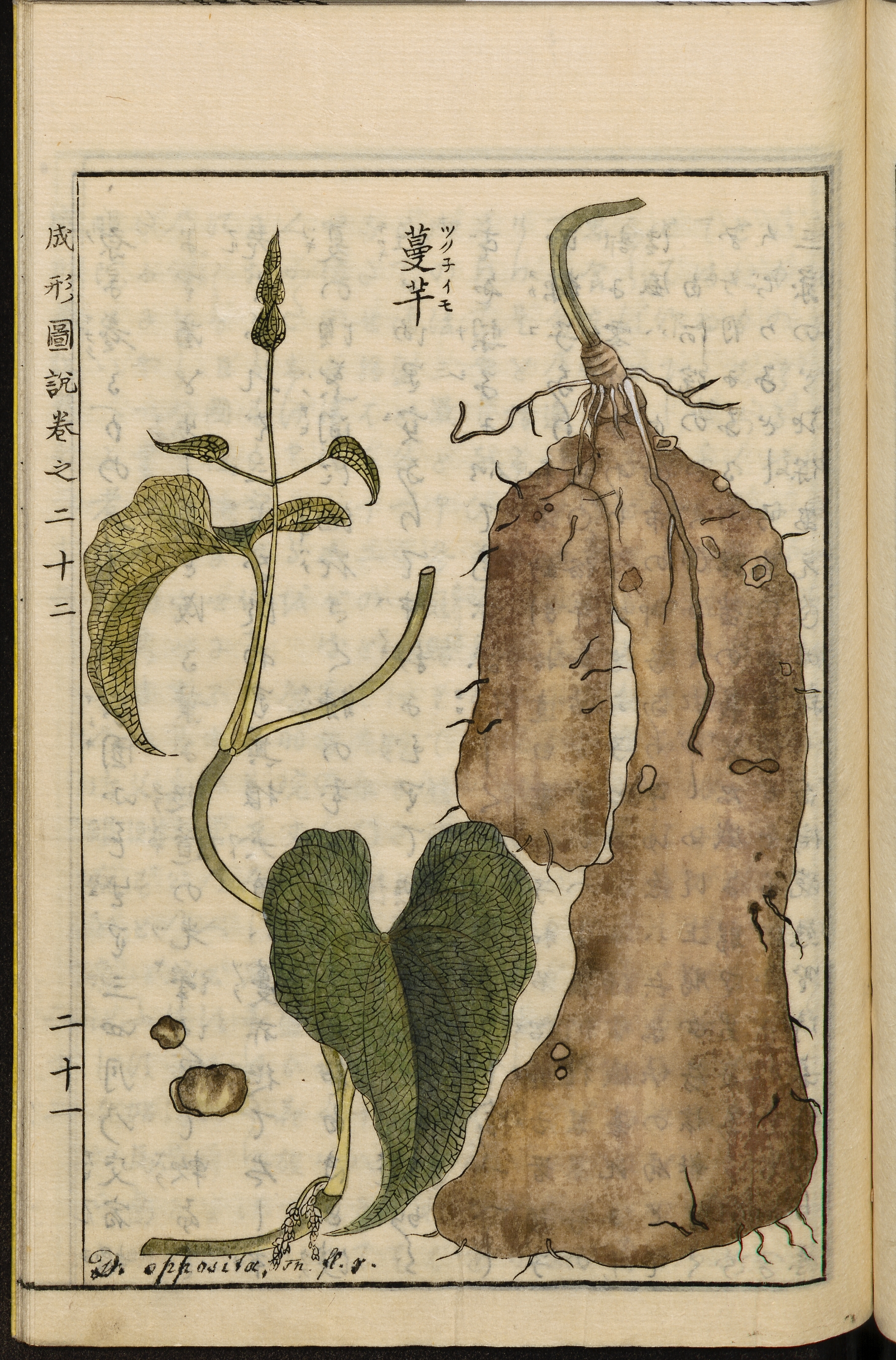 no full size  illustration available (3a)